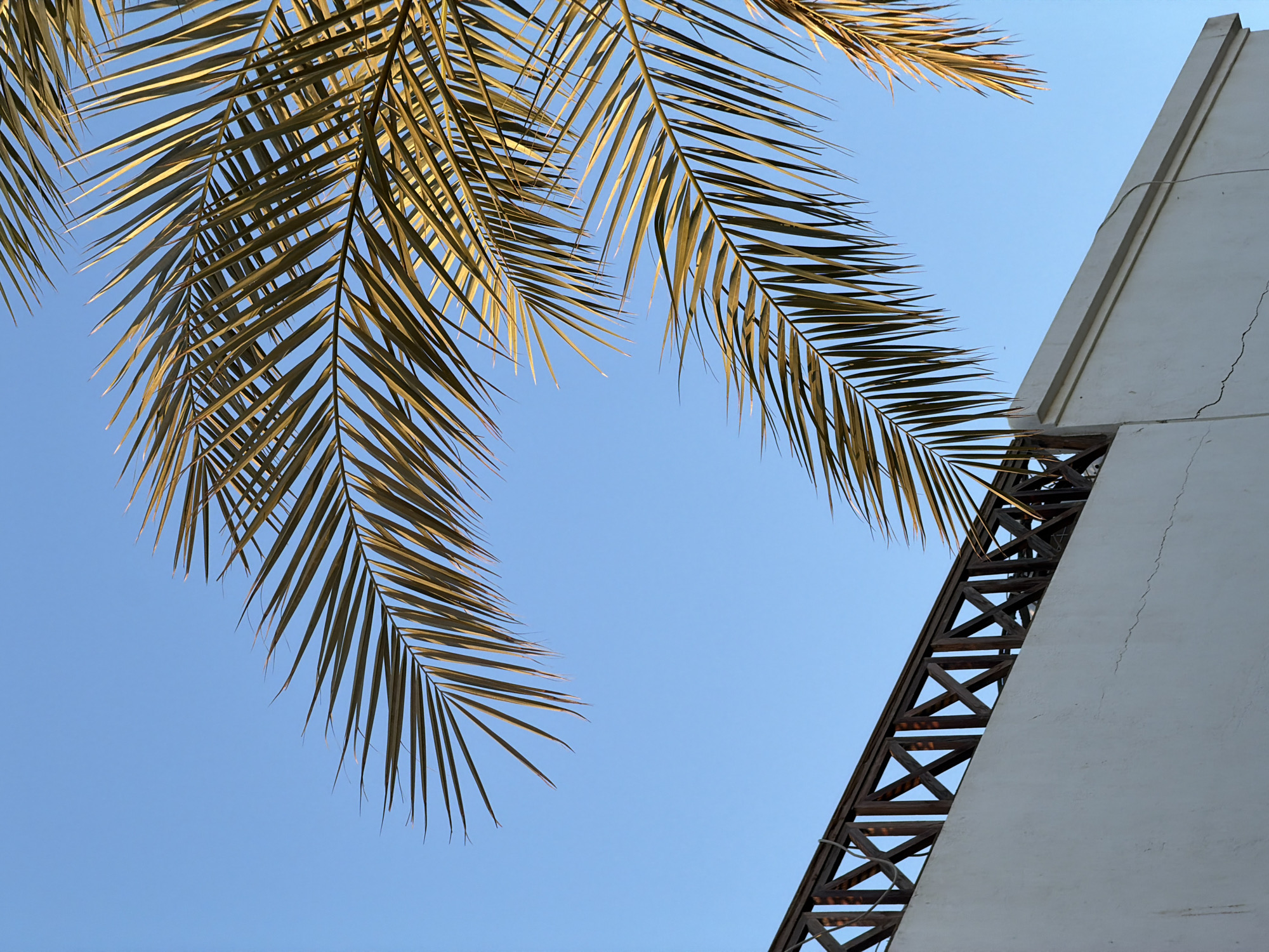 The image is an outdoor, low-angle shot looking up at a clear blue sky. Two large palm fronds are visible in the upper left and left portions of the frame, their long, thin leaves casting shadows against the sky. To the right, a white building with a textured surface and a long, thin crack runs vertically up its side. Adjacent to the building is a dark, metal lattice structure, appearing to be part of a balcony or architectural element, with a repeating pattern of X-shaped braces. The lighting suggests it is daytime, likely late afternoon, given the warm glow on the palm fronds. The overall scene evokes a sense of warmth and a tropical or desert climate, consistent with a location like Sharm El Sheikh, Egypt. No people or text are visible in the image.