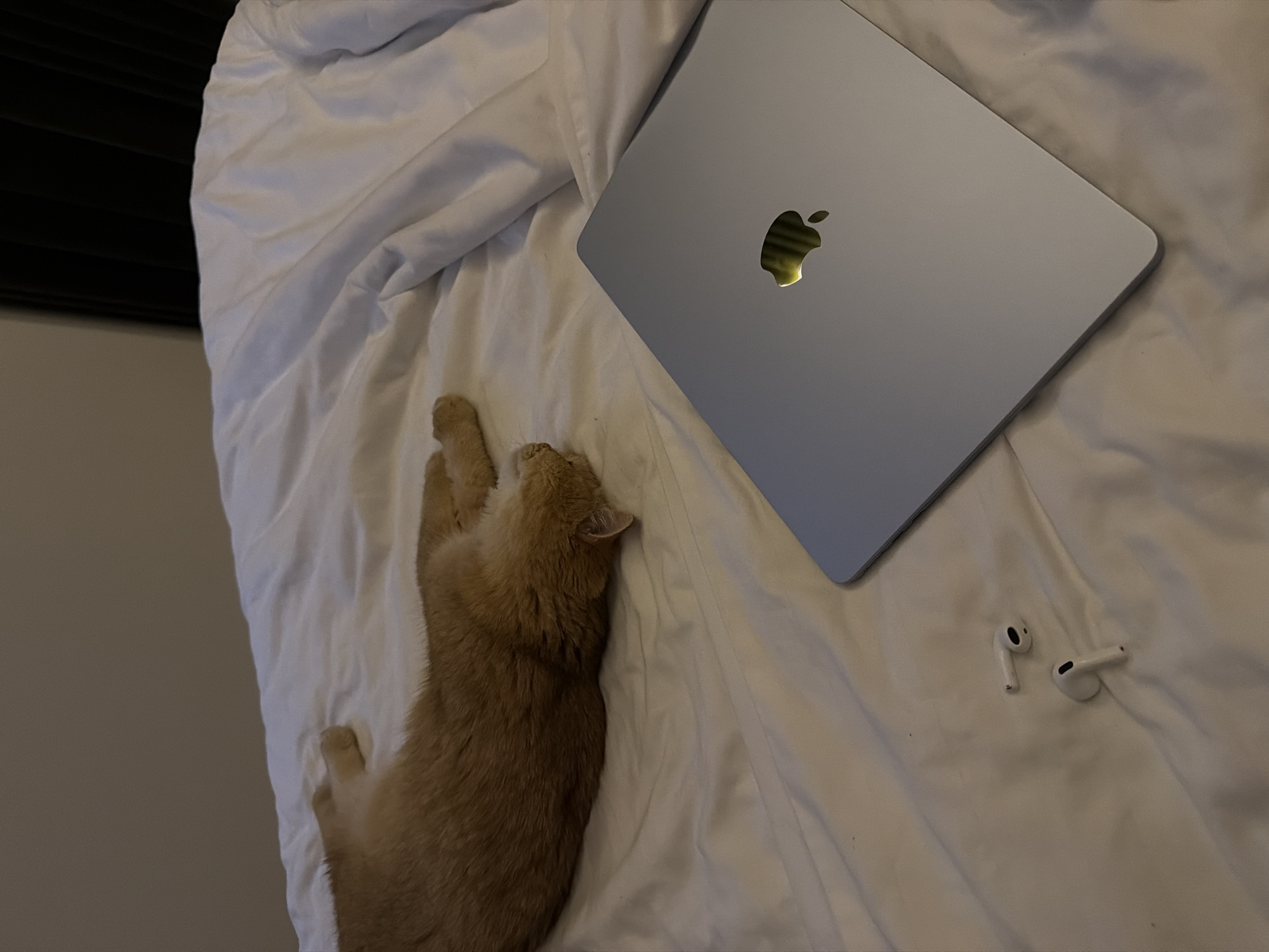 A medium shot of an orange tabby cat lying next to a silver laptop and a pair of white wireless earbuds on a white bed. The laptop is closed, with the Apple logo visible. The cat is stretched out, with its paws near the laptop. The earbuds are located to the right of the laptop. The bedclothes appear to be a white duvet. The location is not determinable from the image.