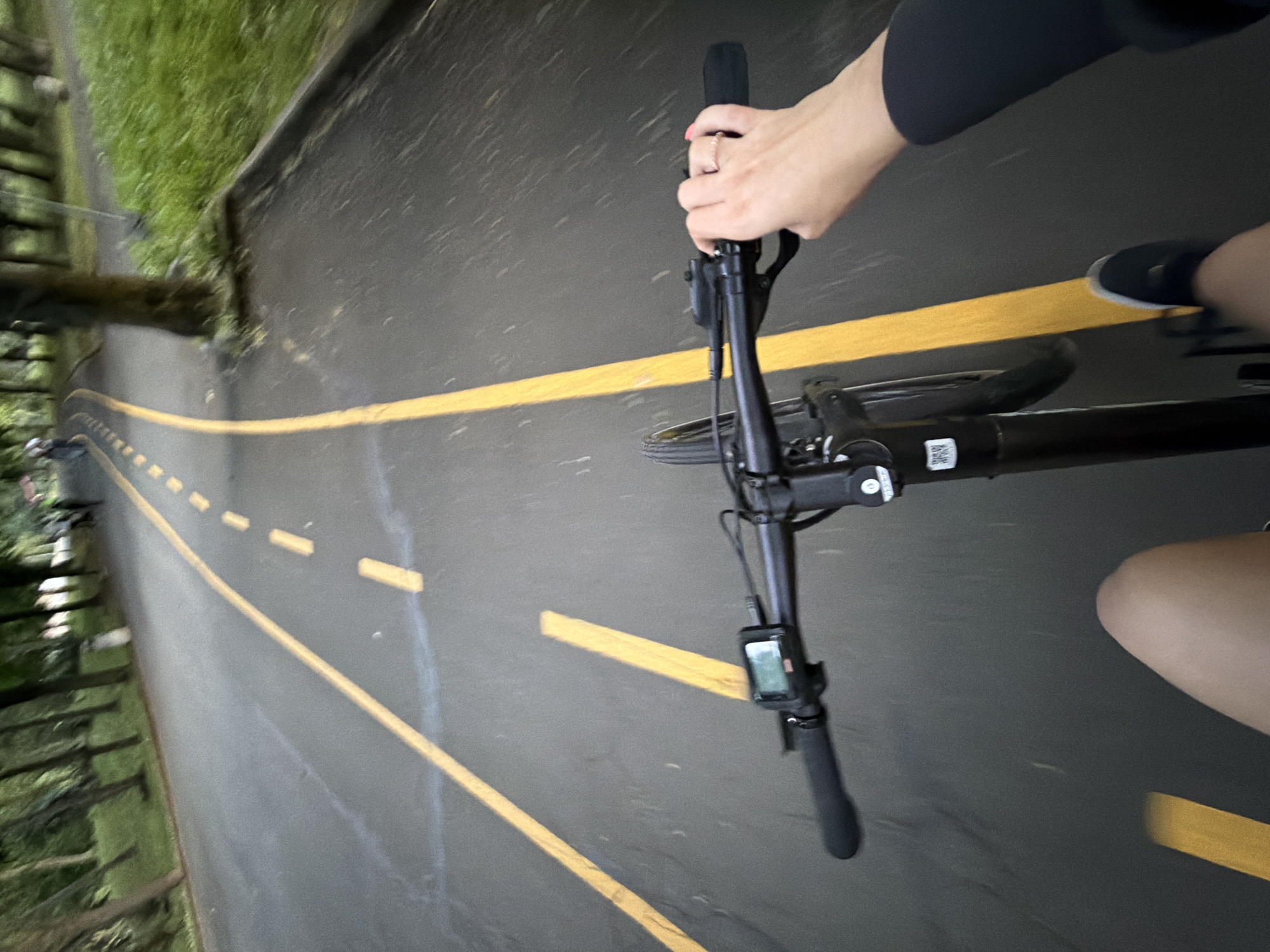 A first-person, tilted view captures a person riding a black bicycle on an asphalt path. The image is taken from the rider's perspective, looking down at the handlebars and the path ahead.
The rider's right hand, wearing a ring and with lightly painted nails, is gripping the right handlebar. Part of the rider's legs are visible, clothed in dark athletic wear, and a dark shoe with a white sole is visible on the right foot, suggesting pedaling.
The bicycle's handlebars are black, with a small digital display unit mounted on the left side, though its screen content is unreadable. A QR code sticker is visible on the bicycle's frame, near the front wheel. The path itself is dark asphalt, possibly wet or reflective due to low light, and features prominent yellow road markings: a solid line to the right and a dashed line to the left, suggesting lanes or a designated path.
Along the left side of the path, green vegetation and tree trunks are visible, appearing dark, which, combined with the general lighting, indicates dusk, night, or a very dimly lit environment. The motion blur on the road and surrounding vegetation suggests movement and speed. The overall impression is that of a dynamic ride on a bicycle path.