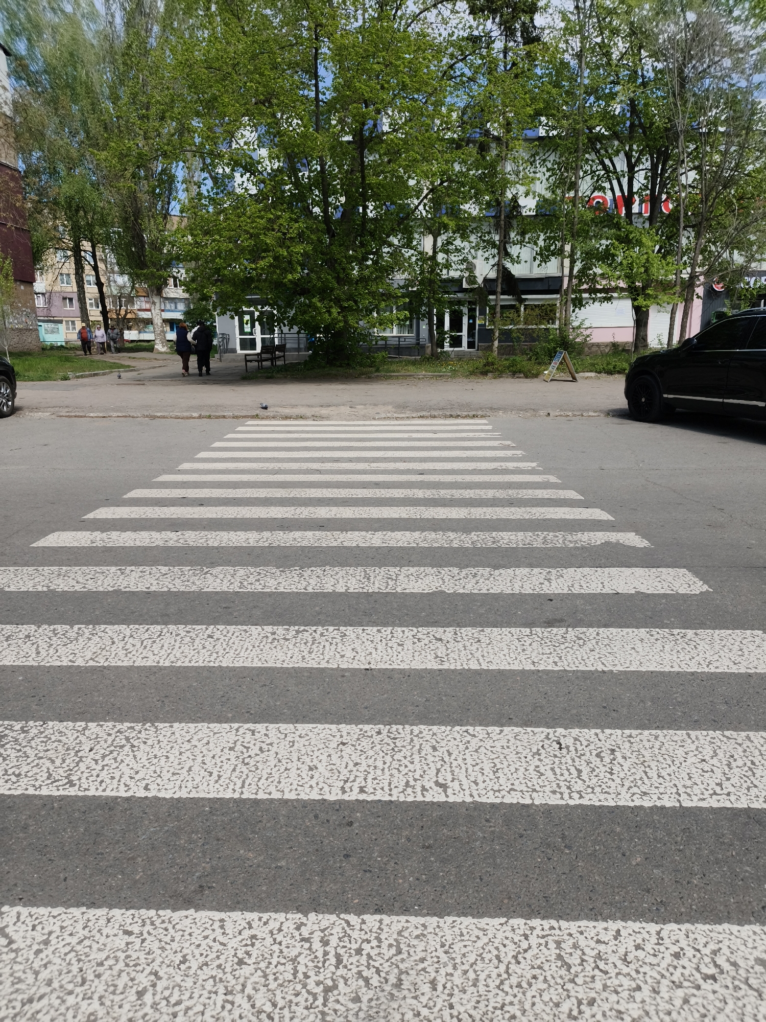 This vertical shot captures a daytime street scene in Kryvyi Rih, Ukraine, featuring a pedestrian crossing in the foreground. The zebra crossing consists of white stripes, showing some wear, on a grey asphalt road.
On the right side of the road, a black SUV is partially visible, parked. On the sidewalk beyond the crossing, several people are present. Two individuals are walking away from the camera towards a building entrance, while a small group of at least three people are gathered further down the sidewalk to the left. Two pigeons are also on the paved surface.
The background is filled with numerous deciduous trees displaying vibrant green foliage, suggesting spring or summer. These trees partially obscure the multi-story buildings behind them. A prominent building in the center, behind the trees, features large windows and has partially visible red text, possibly "СТОРИ" or part of a commercial name, suggesting a ground-floor business. Another residential-style building with multiple windows and balconies is visible to the far left. A small, unreadable A-frame sign stands on the sidewalk near the black car.
The scene is brightly lit, indicating a clear day, likely morning or afternoon. The overall atmosphere is neutral, depicting typical urban activity with pedestrians and parked vehicles in a residential or mixed-use area.