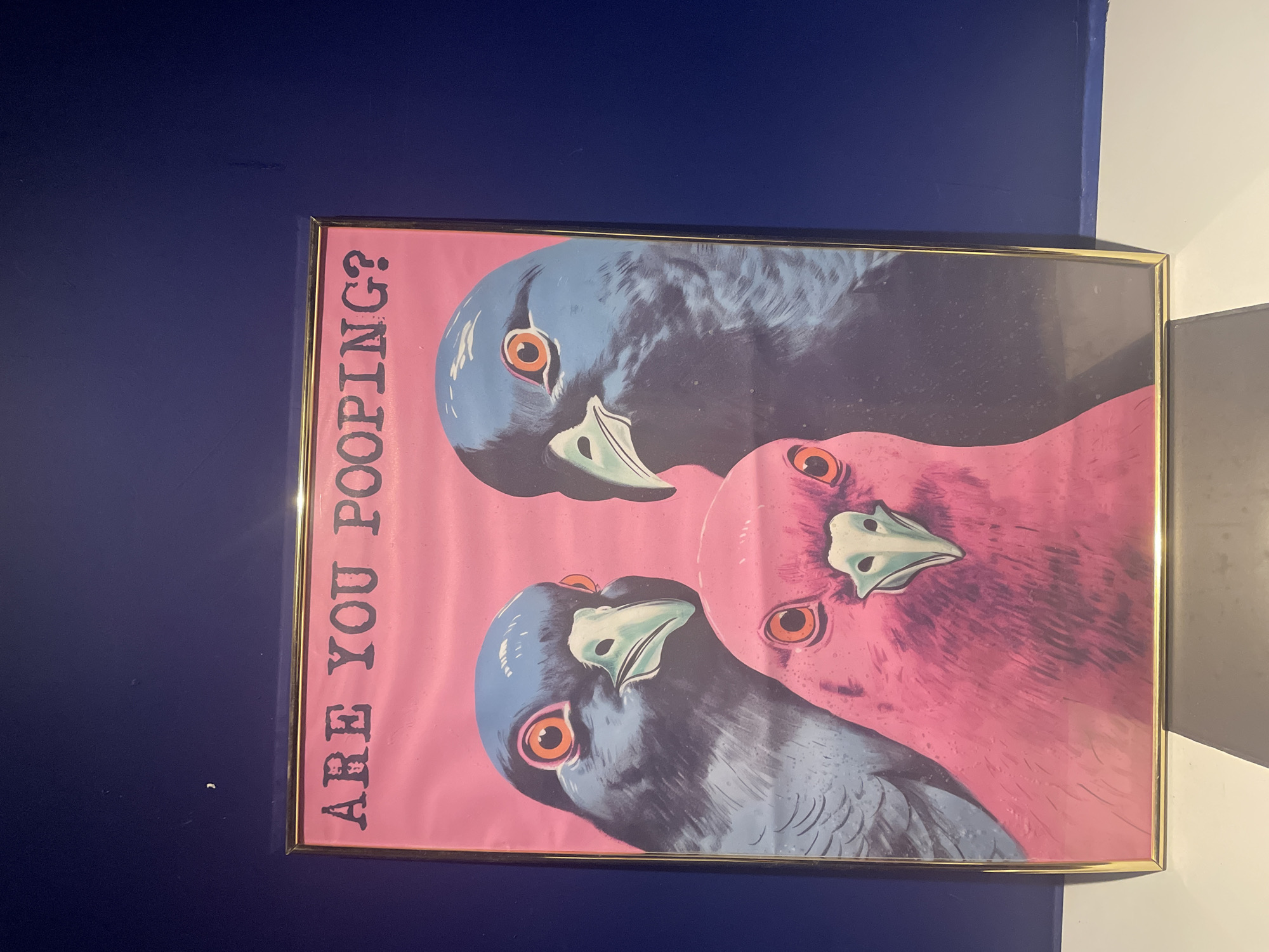 A framed poster is affixed to a wall that is half navy blue and half white with a grey diagonal line separating the colors. The poster depicts three stylized pigeons with the text "ARE YOU POOPING?" vertically aligned along the left side. The pigeons are colored blue and pink. The frame is thin and gold in color. The location is unknown, and there is no evidence to suggest it is in Sofia, Bulgaria. There are no people depicted or interacting with the scene.