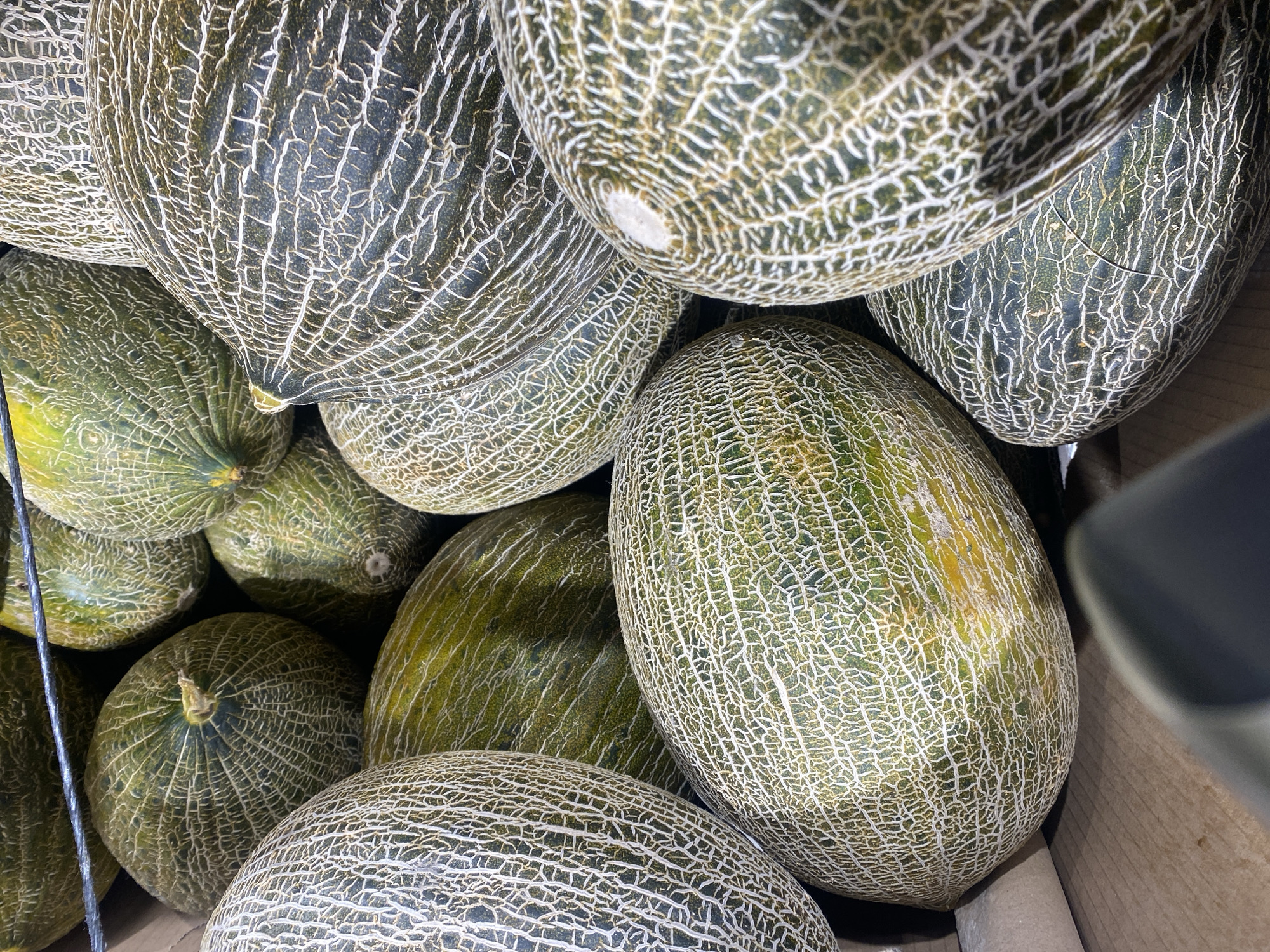The image shows a close-up, overhead view of a pile of ripe melons, likely in a market or grocery store setting in Bel Air, Spain. The melons are characterized by their green rinds with intricate, light-colored netting patterns. Some of the melons have slight yellow or golden undertones, suggesting ripeness.
The lighting appears to be artificial, common for indoor retail environments, and there are no indicators of the time of day or weather conditions. The scene is focused entirely on the melons, showcasing their texture and natural variations. The melons are closely packed together, creating a visually dense composition. The background includes hints of wooden crates and a dark object, possibly a shelf or a piece of equipment, further reinforcing the retail environment. There is no visible text in the image. The overall impression is one of abundance and the visual appeal of fresh produce.