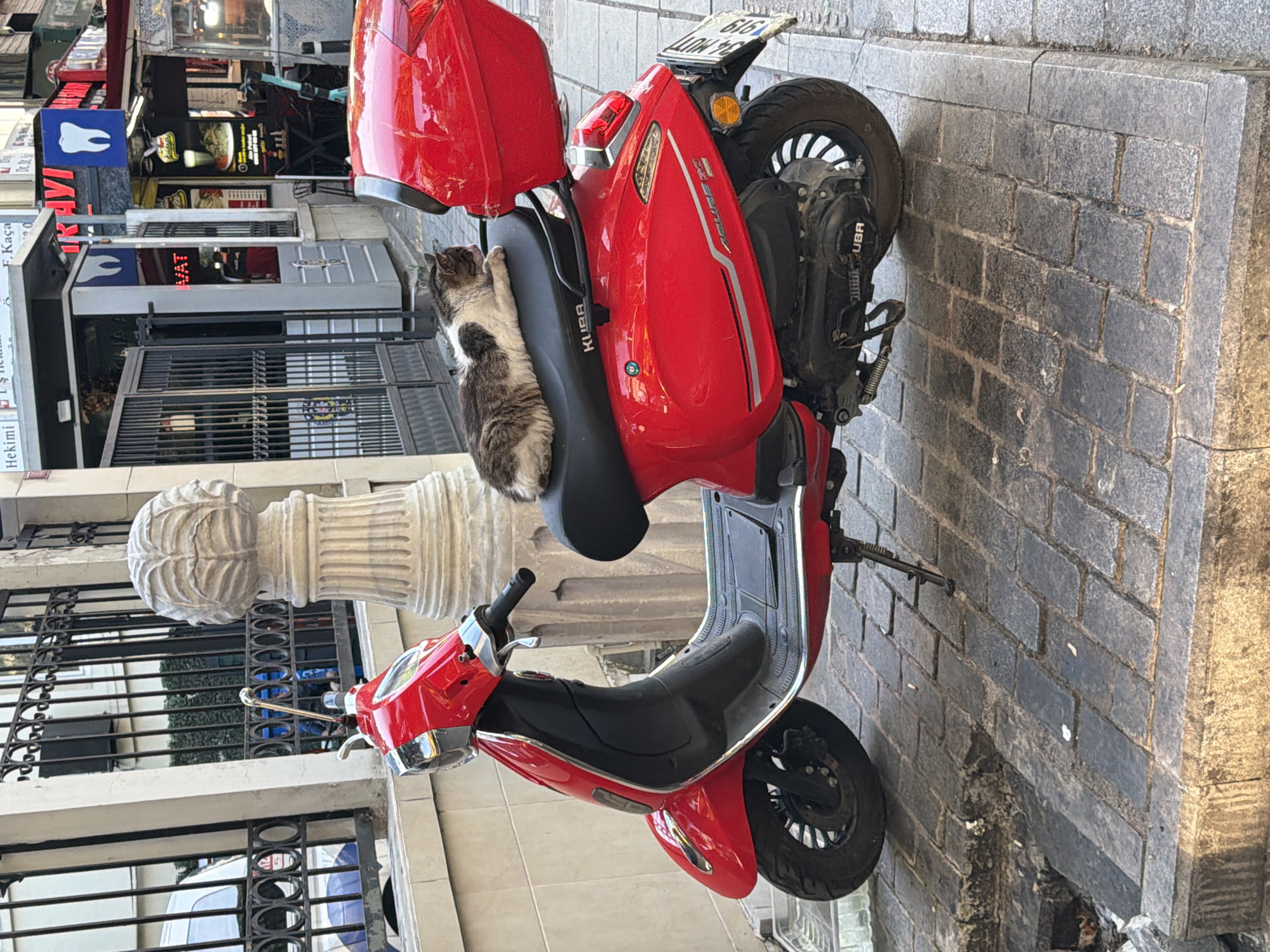 A gray and white cat is resting on the black seat of a red scooter parked on a cobblestone sidewalk in Üsküdar, Turkey. The scooter has a red storage box on the back. In the background, there is a building with a dental clinic sign and a small kiosk. A metal fence and a decorative stone pillar are to the left of the scooter.