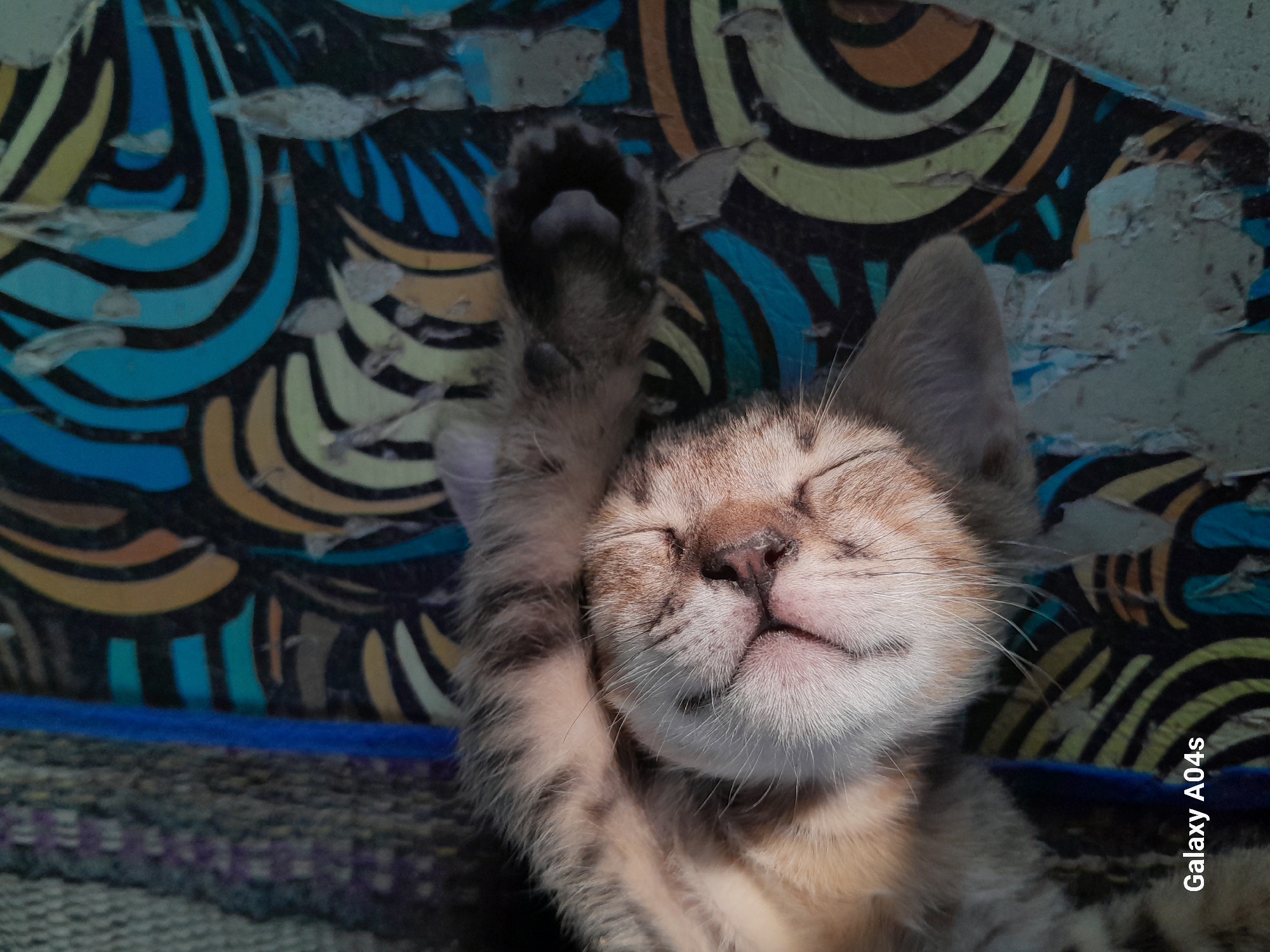 A tabby kitten is sleeping on a colorful, patterned surface. The kitten is curled up with its eyes closed and its paws tucked in. The surface it's sleeping on appears to be fabric with a swirling, abstract design in shades of blue, yellow, and black. There is also a hint of a gray, textured material on the left side of the image, possibly a blanket or cushion. The lighting suggests it is daytime, with a soft light illuminating the kitten's face. The bottom left corner of the image shows the text "Galaxy A04s," indicating the device used to capture the photograph. The scene is domestic and peaceful.