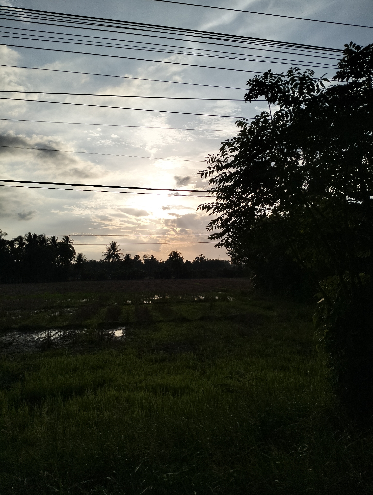 The image depicts a rural landscape at dusk, with the sun setting behind a line of trees and palm trees. The sky is filled with dramatic clouds, some of which are illuminated by the setting sun. In the foreground, there is a field of green grass, with some areas appearing to be flooded or muddy. Power lines stretch across the upper portion of the image. The scene is shot from a slightly elevated perspective, looking out over the field and towards the horizon. The location is identified as Meunasahdayah, Indonesia. There are no people or animals visible in the image. The overall mood is serene and natural, with a hint of the approaching night.