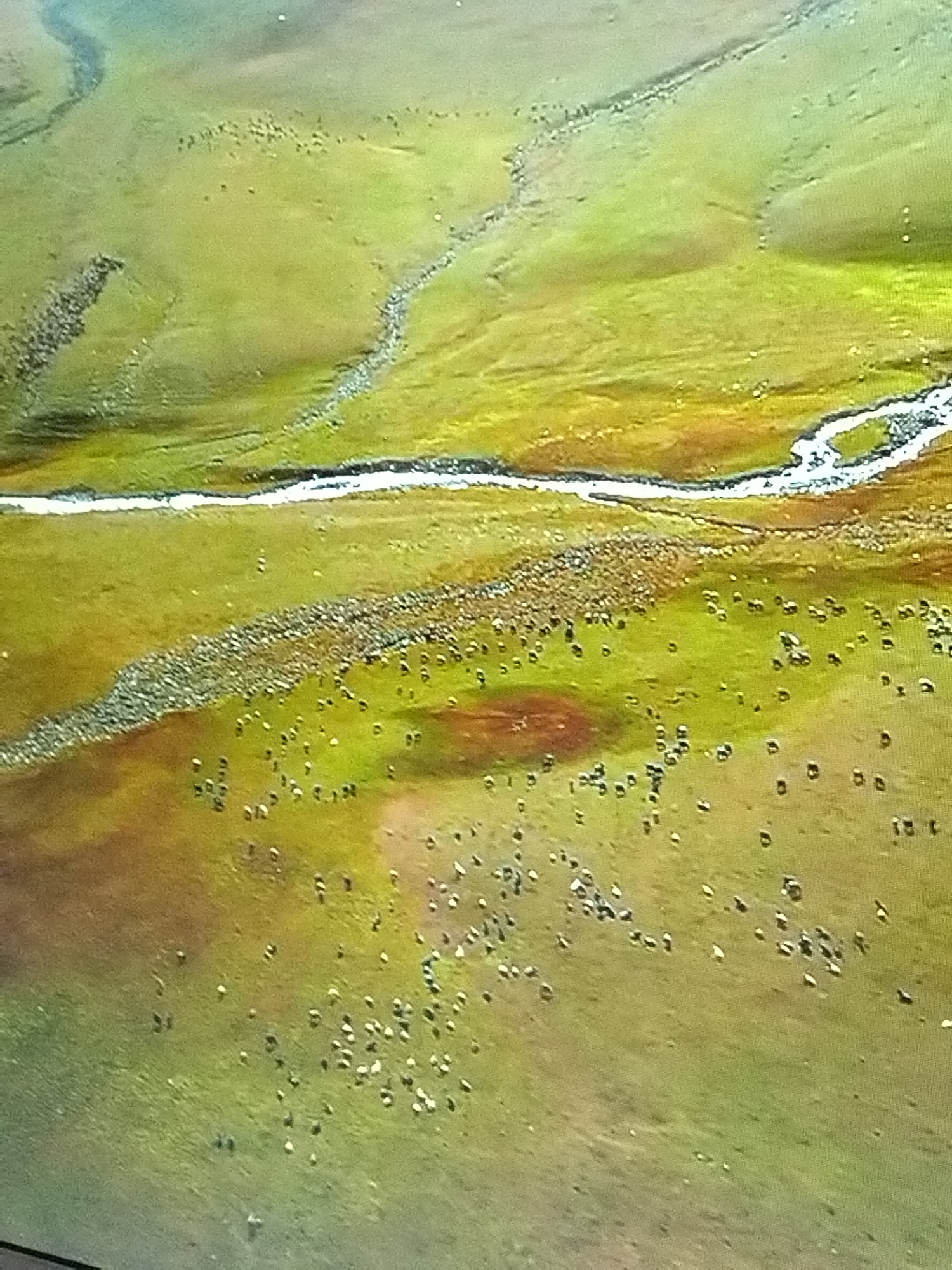 This is an aerial, wide shot of a green, grassy landscape with a winding river. Small, dark specks, possibly animals, are scattered across the terrain, with a denser cluster along the riverbank. The lighting suggests it is daytime.