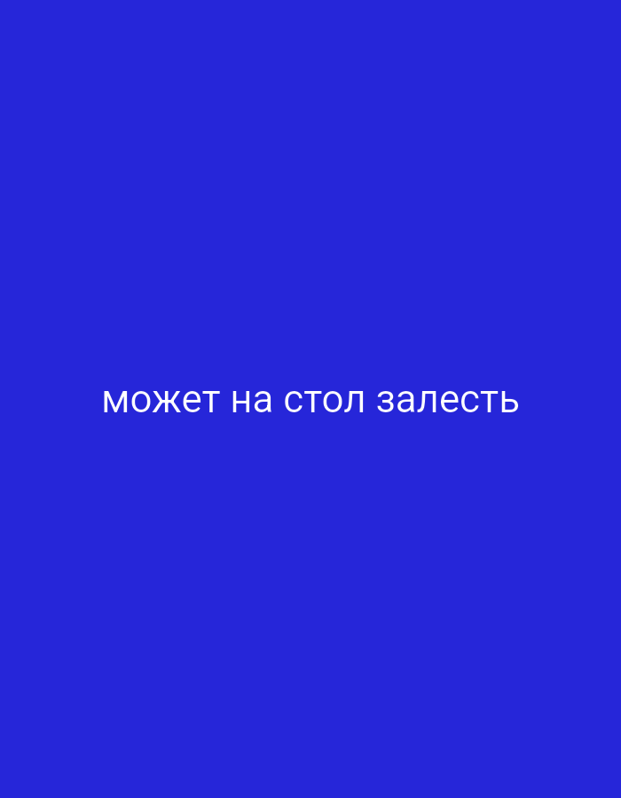 A still image displays the text "может на стол залезть" in white, sans-serif font centered on a plain, solid royal blue background.