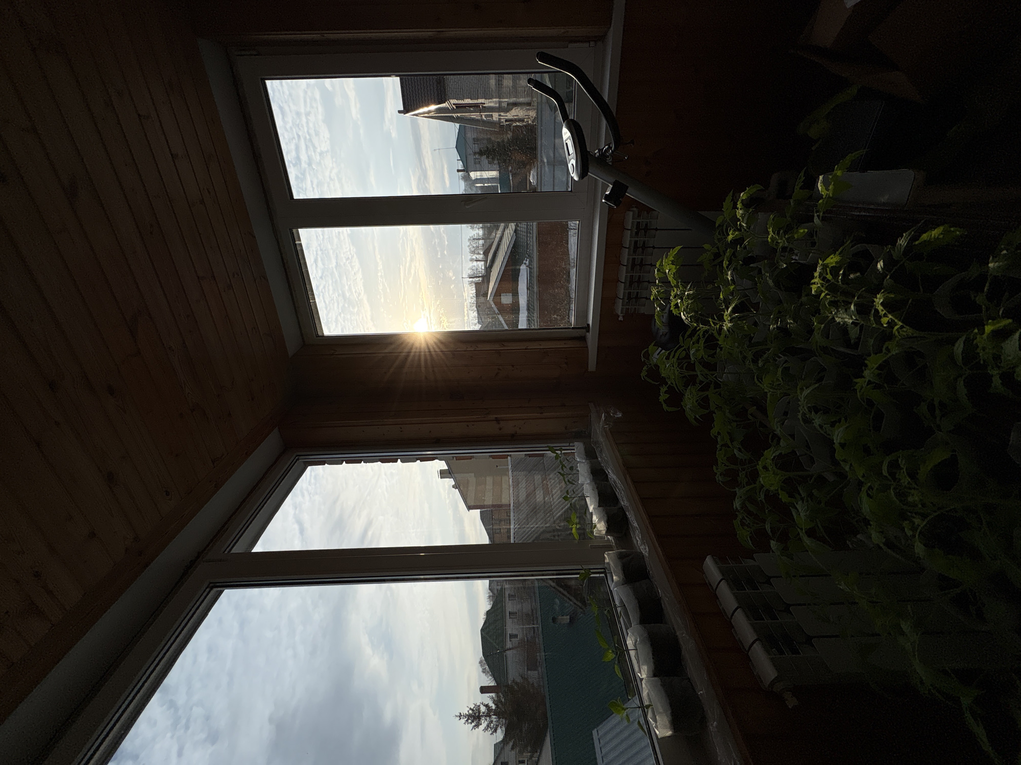The image shows an interior view of a room, likely a balcony, in Ulyanovsk, Russia. The walls and ceiling are paneled with wood. There are three windows, through which the sky is visible, as well as buildings in the distance. The sun is setting and shines through one of the windows. There is an exercise bike in the room and a shelf full of plants.