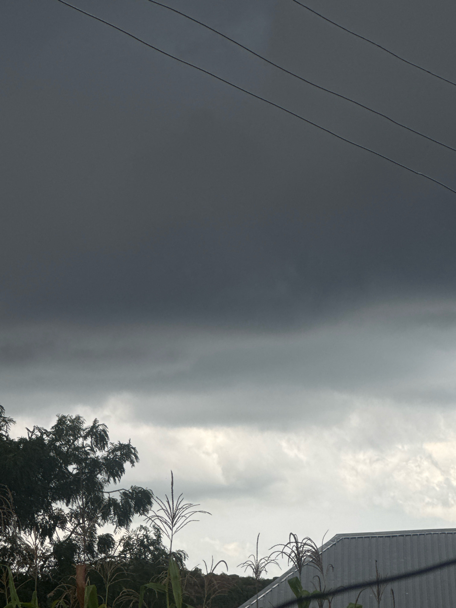 The image depicts a cloudy sky over a rural landscape. Three dark power lines are visible in the upper portion of the frame, stretched diagonally across the dark, overcast sky. In the lower half of the image, lush green trees and corn stalks are silhouetted against a lighter, brighter sky, suggesting that the clouds are not uniformly dark. A metallic roof of a building is visible in the lower right corner, partially obscured by the foliage. The overall impression is of an impending storm or a transition between day and night. The scene is set in an outdoor environment, possibly on the outskirts of a city or in a rural area.