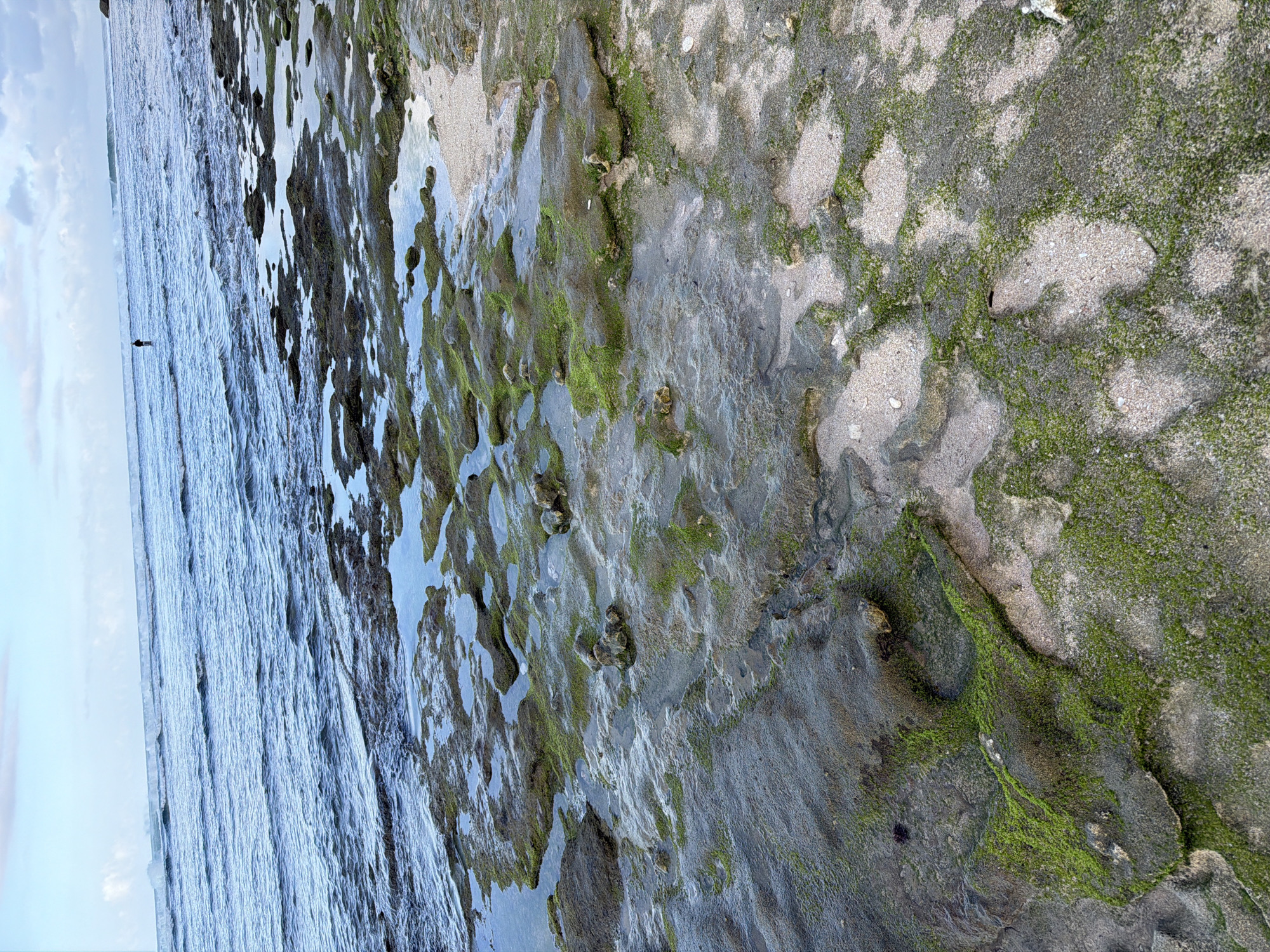 The image depicts a coastal scene in Kuta Selatan, Indonesia. The foreground features exposed rock formations covered in patches of green moss and algae. Some areas are partially submerged in shallow water. Light-colored sand is visible in some pockets on the rocks. The background shows the ocean, appearing calm with small waves. A single, small figure stands in the water near the shoreline. The sky is overcast and a light blue color.