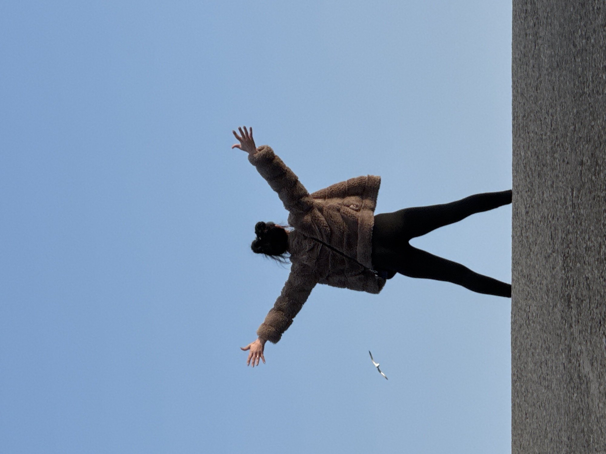 The image depicts a woman standing on the edge of a tall, gray, textured structure in Balgarevo, Bulgaria, with a clear blue sky as the background. She is wearing a brown, fuzzy jacket and black leggings, with her arms outstretched as if balancing or about to jump. A seagull is visible flying in the sky below her. The structure appears to be a building or wall.
