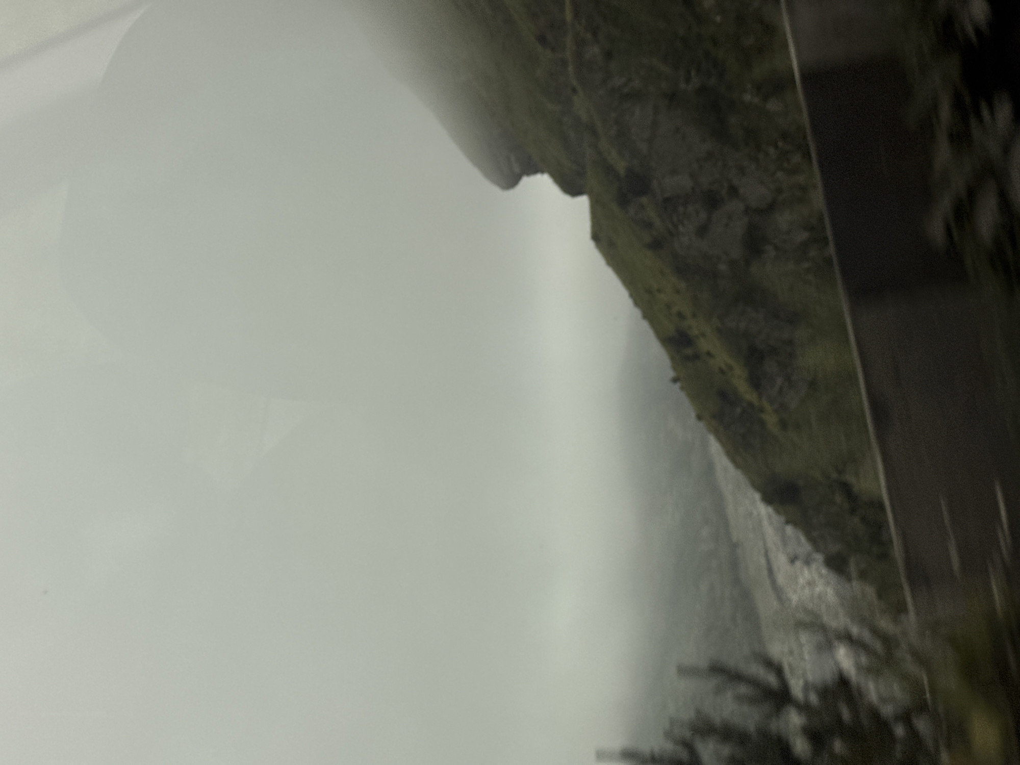 A blurry, overcast image depicts a mountainous landscape. The foreground features a dark, blurred horizontal element, possibly a road or barrier. To the left, a portion of a dark green, out-of-focus tree is visible. The midground shows a steep, green mountainside with rocky outcrops, partially obscured by fog and mist. A winding road can be seen carved into the hillside. In the background, a valley with a riverbed is visible, also shrouded in mist. The sky is a uniform light gray. The scene is likely a view from a vehicle, given the motion blur. The location is identified as Tsdo, Georgia.