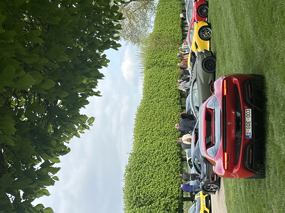 The image was taken at the Chateau de Chambord, France, located at latitude: 47.615, longitude: 1.518. It shows a row of luxury cars parked in a grassy area with people standing around them. The camera is facing the rear of a red Ferrari, which is in the foreground. There is a green hedge in the background, a green tree in the upper left corner, and a cloudy sky. The image features a variety of car models, including a Lamborghini, a Ferrari, and a yellow Porsche. The scene is a casual gathering with people standing and talking around the cars. The ground is covered in green grass.