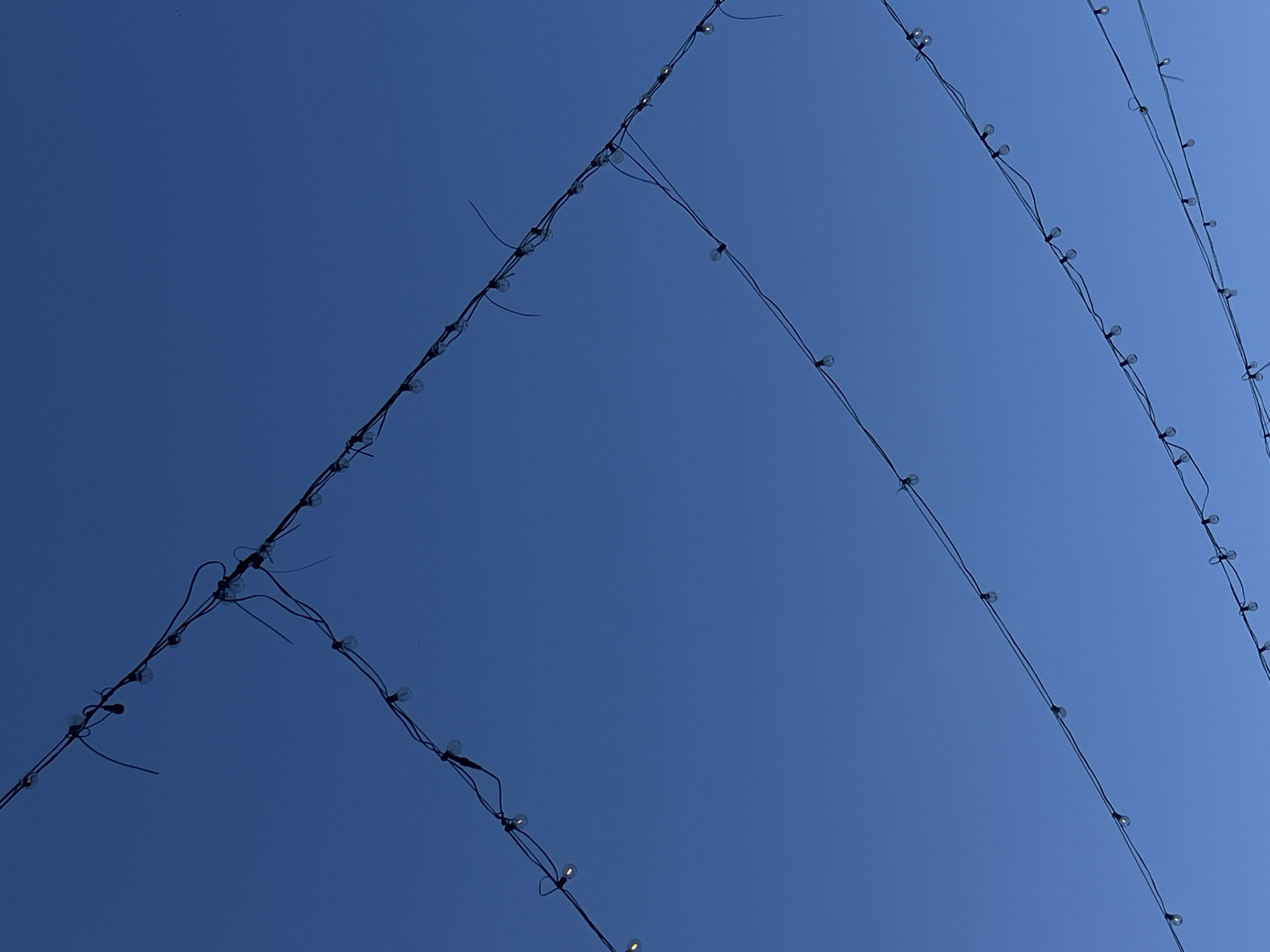 The image shows several strings of lights suspended against a clear blue sky. The lights are small and round, with visible filaments. They are attached to thin black wires that stretch across the frame diagonally from the top left to the bottom right. The wires are spaced apart, creating a sense of depth. The sky is a uniform, deep blue, indicating it is daytime, possibly late afternoon or early morning given the lack of harsh shadows. There are no people or other objects visible in the image. The overall impression is one of simplicity and a focus on the pattern of the lights against the expanse of the sky. The location is specified as Svetlogorsk, Russia.