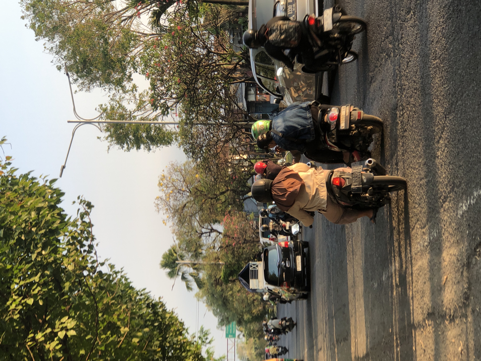 The image depicts a street scene in Gelam, Indonesia, likely during late afternoon or early evening, judging by the low angle of the sun casting long shadows. The road is busy with traffic, predominantly motorcycles, and a few cars.
In the foreground, a person on a scooter wearing a light brown jacket and dark shorts is moving away from the camera. The scooter has a red taillight and a license plate. To the left of this scooter, another scooter is partially visible, with a passenger wearing a red helmet.
Further into the scene, a black hatchback car is in the middle lane. Behind it, several other motorcycles are visible, some with riders wearing helmets of various colors, including green. To the right, a silver sedan is in the right lane, and behind it, a motorcycle with a rider wearing a backpack and helmet is moving.
The environment includes lush green trees lining the street on both sides, with some trees bearing pink flowers. A street lamp with two arms is visible in the background. The sky is a clear, pale blue, indicating fair weather. The road surface appears to be asphalt, with visible markings and some wear and tear. The overall impression is of a typical urban traffic flow in a tropical or subtropical setting.