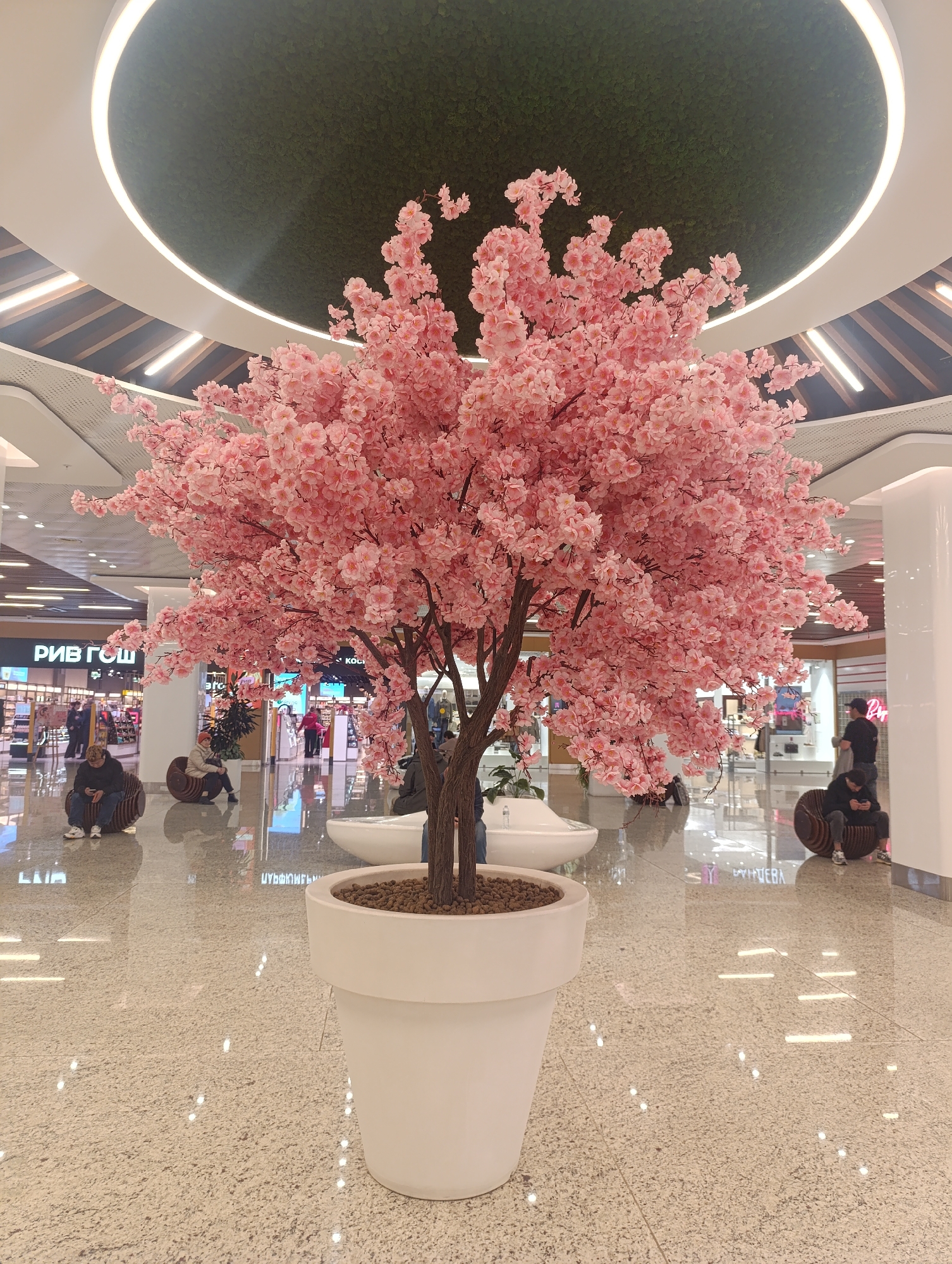 A medium-shot photograph shows a large, pink, artificial cherry blossom tree in a white pot, standing in what appears to be a shopping mall or large public space. The floor is polished and reflective, with a speckled pattern. In the background, there are storefronts with visible signage in Cyrillic script, indicating that the location is likely in Russia, potentially Moscow based on architectural style. Several people are seated on circular, wooden-like chairs, some looking at their phones. The ceiling features a circular design with green vegetation and white lighting.