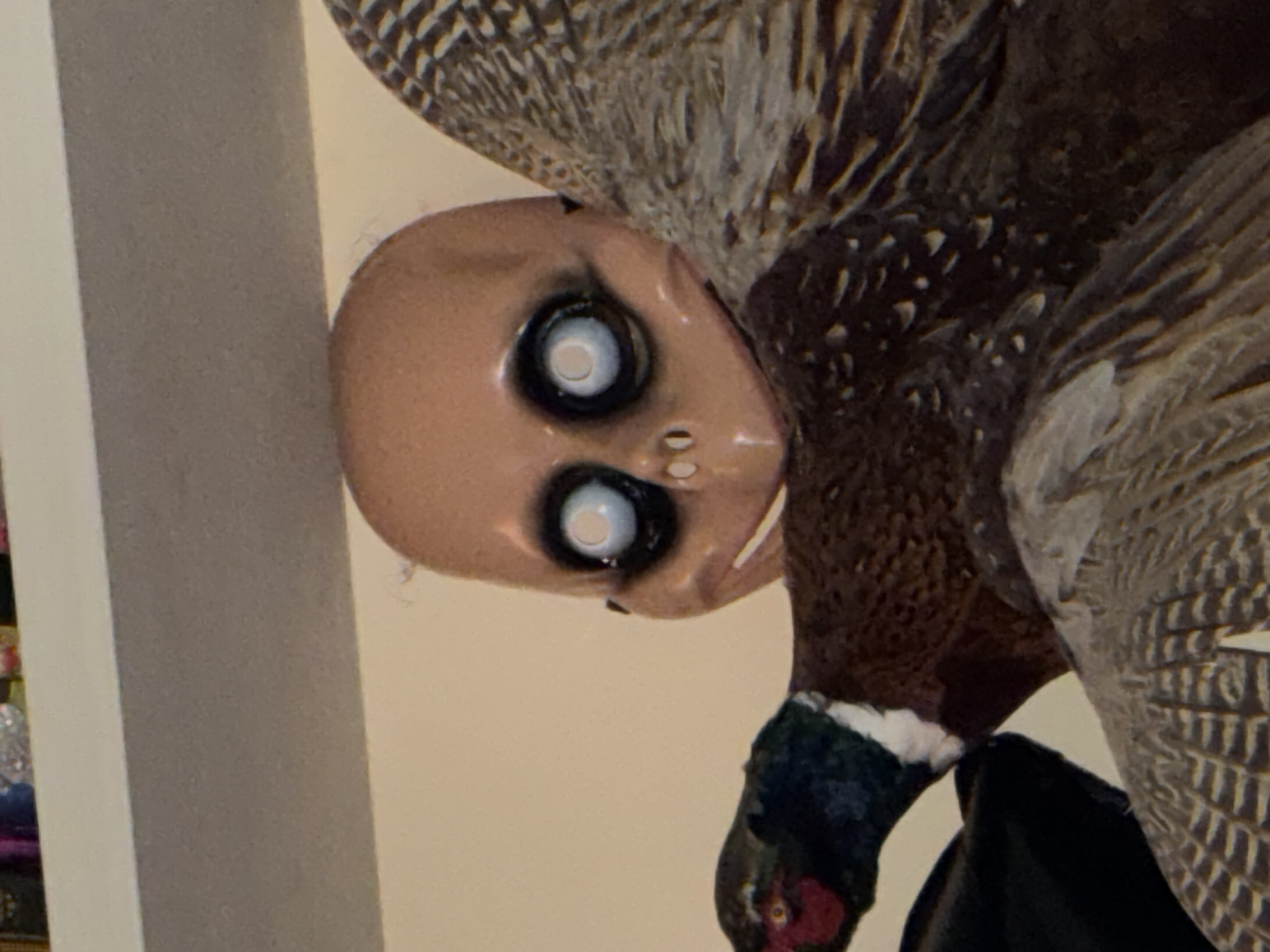 The media file presents a close-up, sideways view of an unusual indoor arrangement featuring a doll's head and a taxidermied bird.
The primary subject is a doll's head, appearing to be made of a light brown, possibly plastic or porcelain, material. It is bald and features strikingly large, round, white, pupil-less eyes, which give it an unsettling or vacant expression. Small perforations or holes are visible on its right cheek/jaw area. This head is positioned at an angle, seemingly tilted onto its side, and is located adjacent to a taxidermied bird.
The bird is likely a pheasant, with its head and a portion of its feathered body visible. It exhibits characteristic features such as dark, iridescent green and bluish feathers on its neck, a distinct white band or collar, and reddish markings on its face. The feathers on its upper body are predominantly brown with intricate lighter patterns.
The background is simple, consisting of a plain, light-colored wall or surface. A vertical grey architectural element, possibly a door frame or cabinet edge, is visible on the far left. The scene depicts a static, still-life arrangement. There is no specific activity taking place, and the combination of the doll head with blank eyes and the taxidermied bird creates a somewhat eerie or peculiar aesthetic. No text is visible in the image. The setting is indoors, with ambient lighting, and while the location context is Varna, Bulgaria, no specific visual cues within the image confirm this geographical detail.