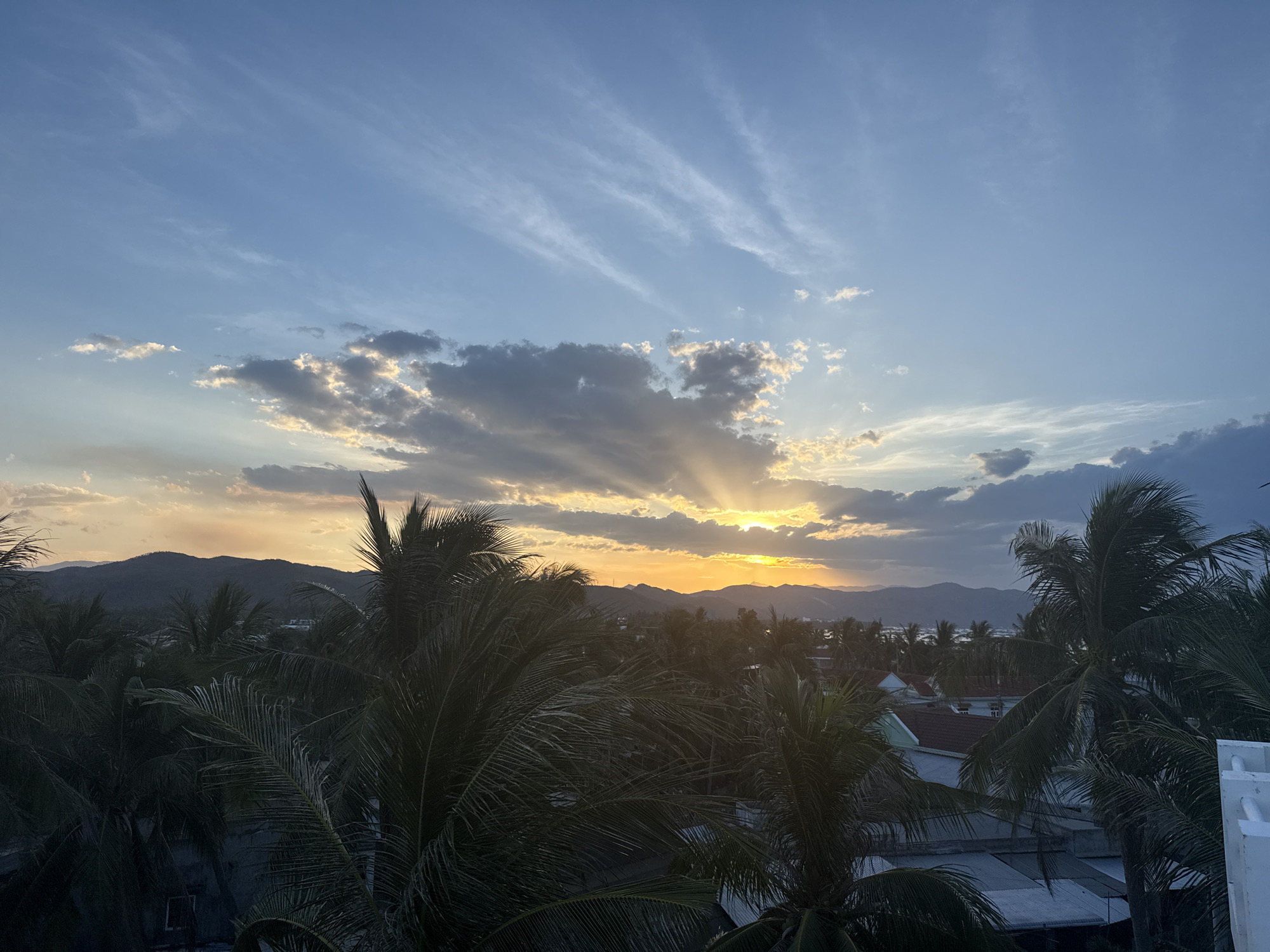 A wide shot captures a sunset scene with a sky filled with streaks of clouds. The sun is low on the horizon, casting a warm orange glow and creating crepuscular rays that fan out from behind a patch of clouds. The foreground is dominated by the dark silhouettes of palm trees, their fronds creating a dense, tropical canopy. Beyond the trees, a layer of buildings and more palm trees can be seen, interspersed with hints of rooftops. In the background, a range of hills or mountains is visible, their shapes softened by the distance and the fading light. The overall atmosphere is tranquil and serene, with the vibrant colors of the sunset contrasting with the dark silhouettes of the foreground.