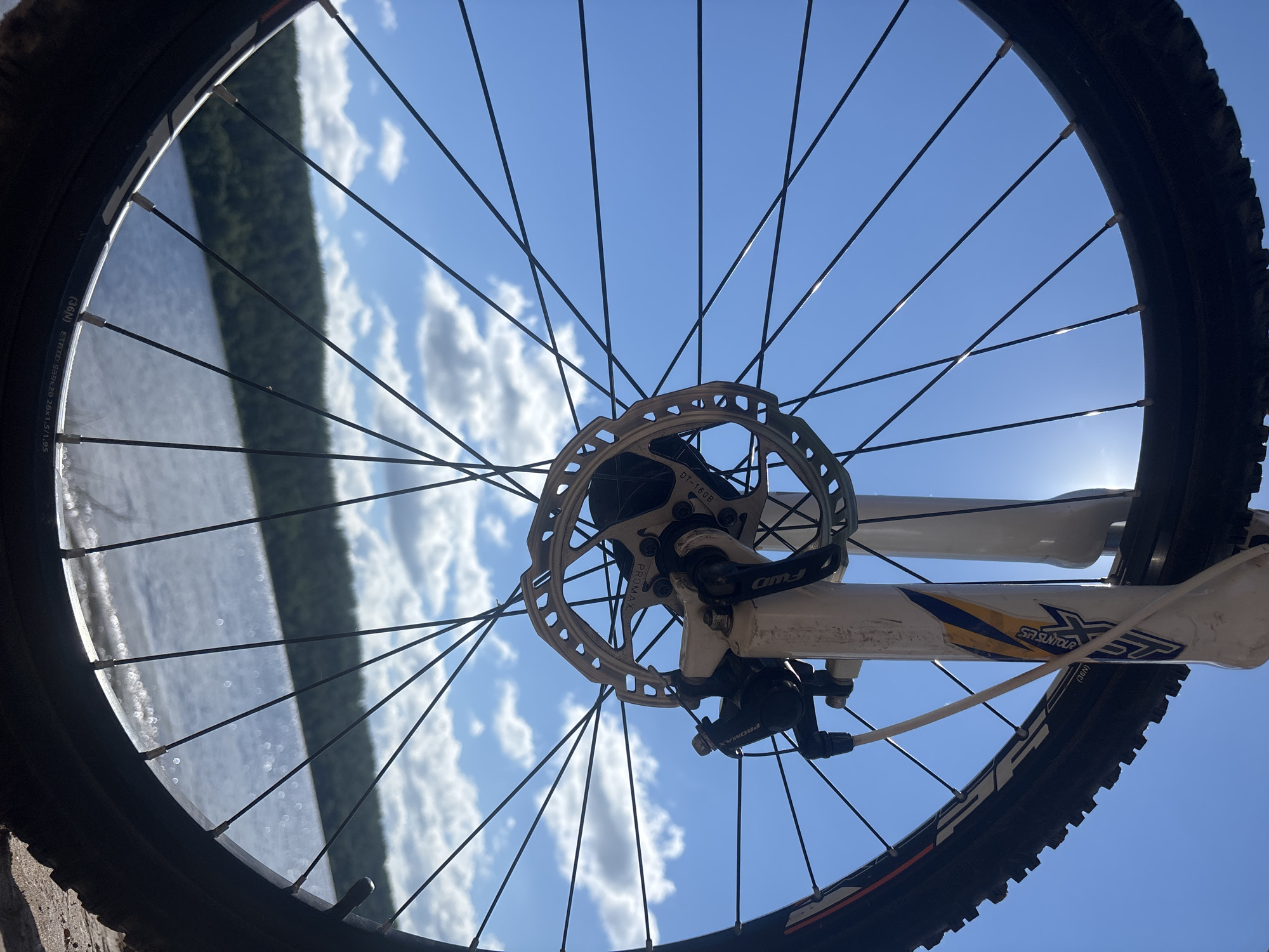 A close-up, low-angle shot focuses on a bicycle wheel with its tire, spokes, and brake rotor. The wheel is positioned in the foreground, with the sky and a body of water in the background. The sky is blue with scattered white clouds and a bright sun, creating lens flare. The water, likely a lake or river, reflects the sky. Beyond the water, a dense, dark green forest line stretches across the horizon. The bicycle's white fork and brake caliper are visible, partially obscuring the background. The image appears to be taken outdoors in a natural setting, potentially near Ol'khovskoye, Russia, given the context provided. There are no people or animals present. The overall impression is one of outdoor activity and nature.
