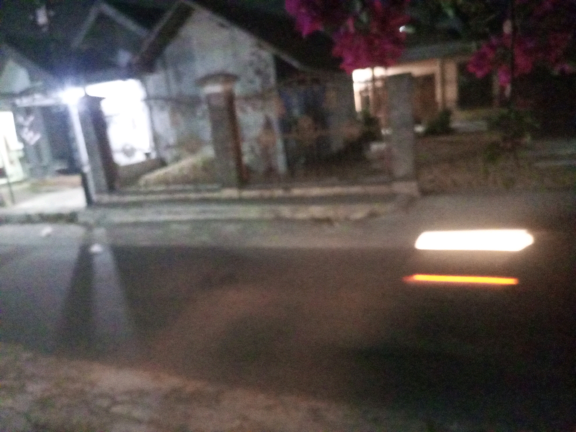 The image is a blurry, nighttime photograph taken from a low angle, likely from a vehicle, showing a street scene in Ngasem, Indonesia. A residential building with a pitched roof and illuminated windows is visible on the left, with a fence or gate structure in front of it. To the right, there are pink flowers from a tree or bush hanging over the scene. The street in the foreground is dark, with streaks of light suggesting vehicle movement or streetlights. Two horizontal light trails are prominent in the center-right of the frame; a white one above an orange-red one. The overall impression is one of a slightly disheveled, urban environment at night.