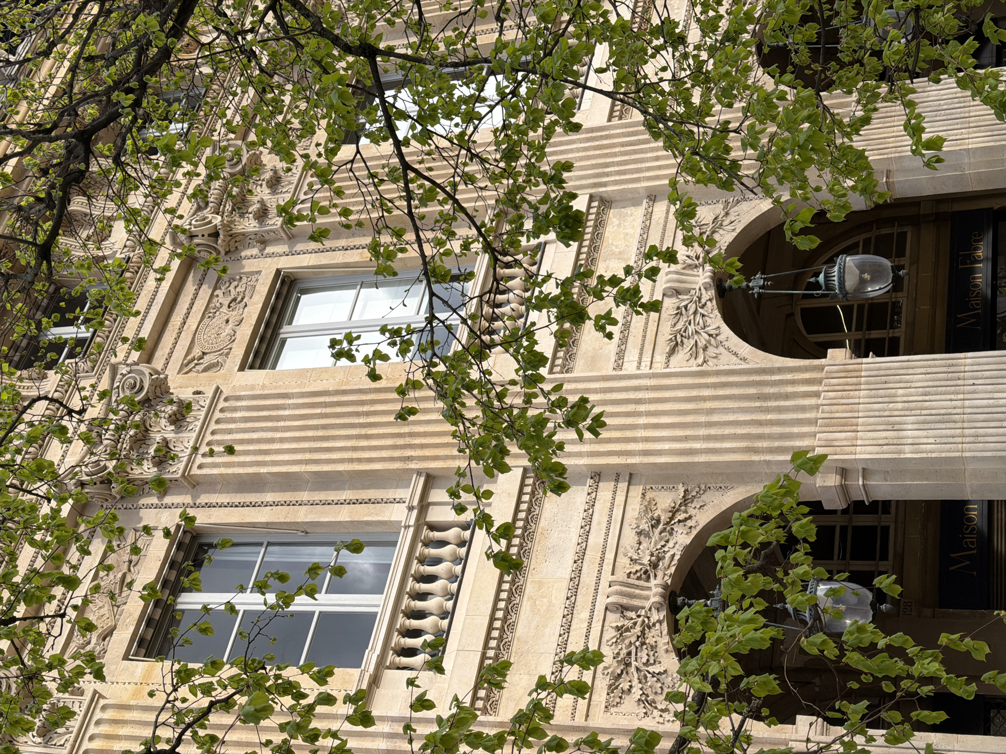 A low-angle shot captures a section of a building facade in Paris, France, with a tree's branches and fresh green leaves partially obscuring the view. The architectural style appears to be classic Parisian, featuring windows, detailed molding, and decorative elements. The building is likely located in a historic district. The lighting is soft, suggesting it is daytime with diffuse sunlight. A shop sign is visible in the background, though its details are unclear due to the angle and leaves. There are no people visible in the scene.