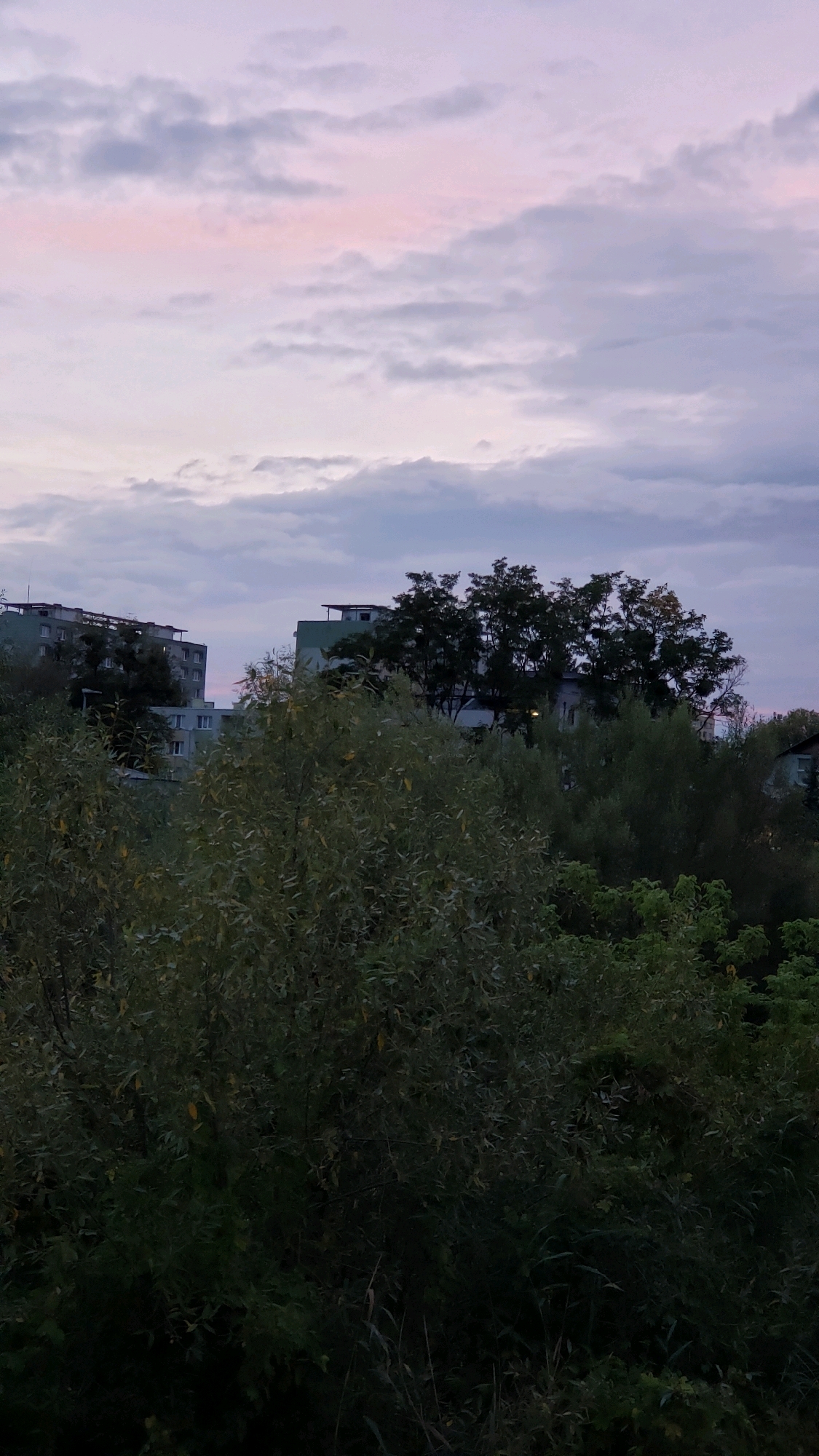 The image shows an outdoor scene at dusk in the city of Prešov, Slovakia. In the foreground, dense green foliage and trees dominate the lower half of the frame. Behind the vegetation, two apartment buildings are visible. The building on the left is taller and appears to be an older structure with multiple stories and visible windows. The building on the right is partially obscured by trees and has a flatter roofline. The sky above is a pale lavender and grey, with scattered clouds that are tinged with pink, suggesting either sunrise or sunset. The overall lighting is dim, typical of twilight.