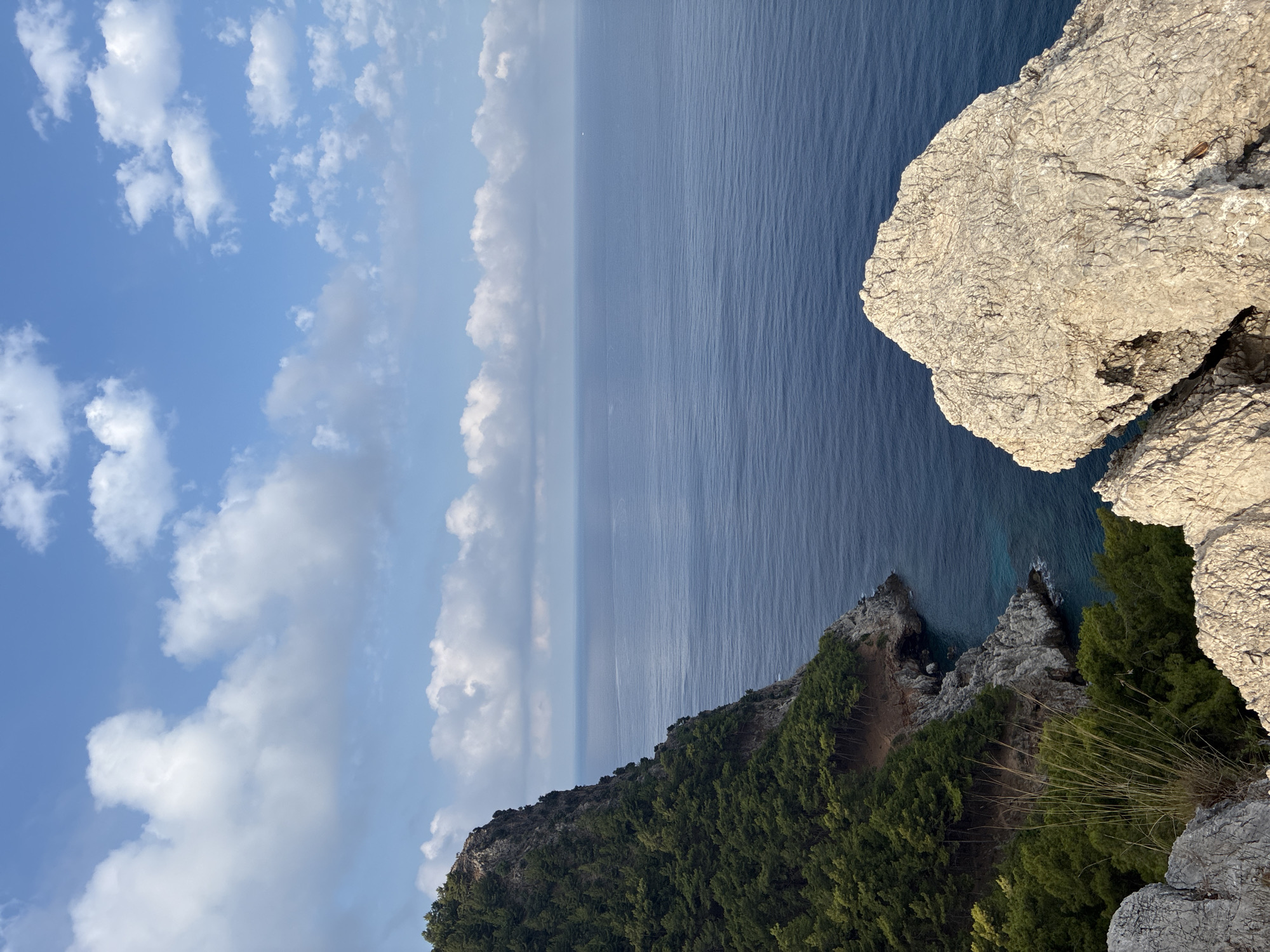 This is a high-angle, eye-level, outdoor photograph taken from a rocky outcrop overlooking a coastline. The scene depicts a dramatic cliff face covered in dense green pine trees, plunging into the deep blue Mediterranean Sea. The water is calm with gentle ripples, reflecting the clear blue sky dotted with fluffy white clouds. In the foreground, a large, textured, light-colored rock formation juts into the frame. The coastline curves into the distance, revealing a small cove with turquoise water near the base of the cliff. The overall impression is one of natural beauty and rugged coastal landscape. This view is consistent with the scenery found in areas like the Alanya peninsula in Alanya, Turkey, known for its steep cliffs and Mediterranean coastline. There are no people or visible human activity in the image.