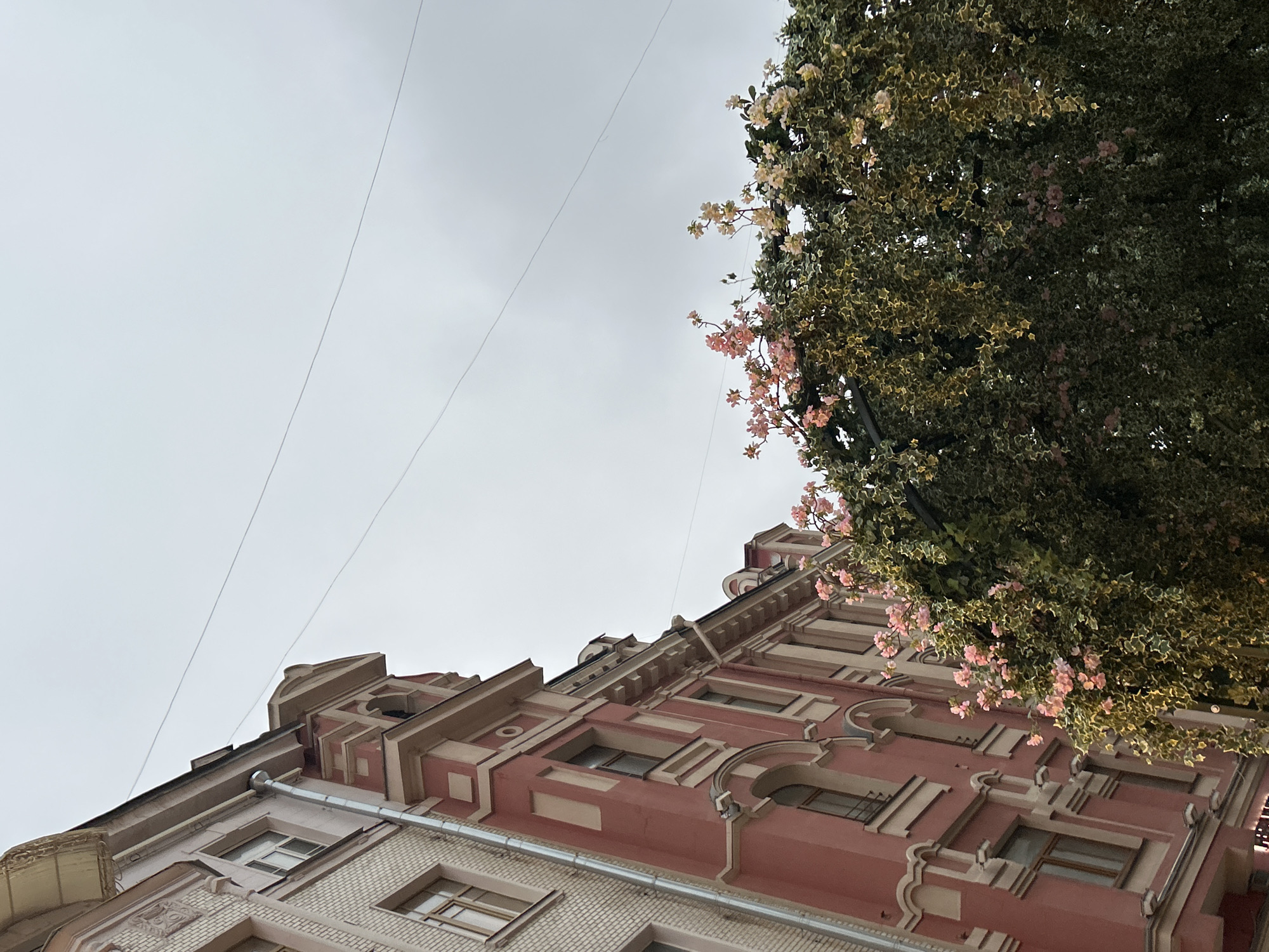 A low-angle view captures a portion of a pink building adorned with architectural details, contrasted against a cloudy sky. The building's upper sections feature ornate designs and window openings. To the right, foliage with green and pink elements partially obscures the view of the building and extends into the sky. Above the building and foliage, thin, dark lines, possibly electrical or telephone wires, stretch across the expanse of the gray sky.