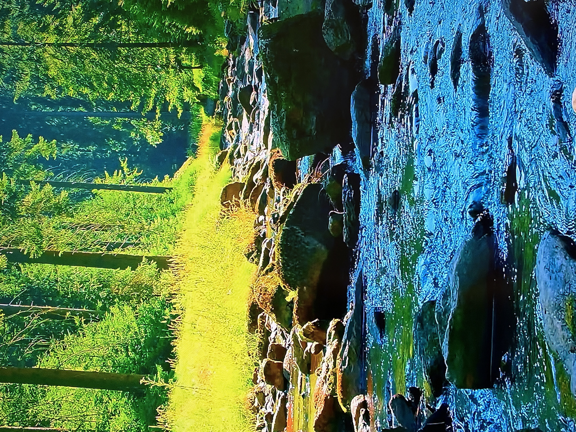 This is a photograph of a shallow, rocky stream flowing through a dense, sunlit forest. The water is a vibrant turquoise and reflects the surrounding greenery. Numerous rocks, some covered in moss, line the stream bed and banks. The forest floor is covered in bright green grass and tall, thin trees with dense foliage. The overall impression is one of a serene and natural landscape. This image is not located in the city of Krasnokamsk, Russia.
