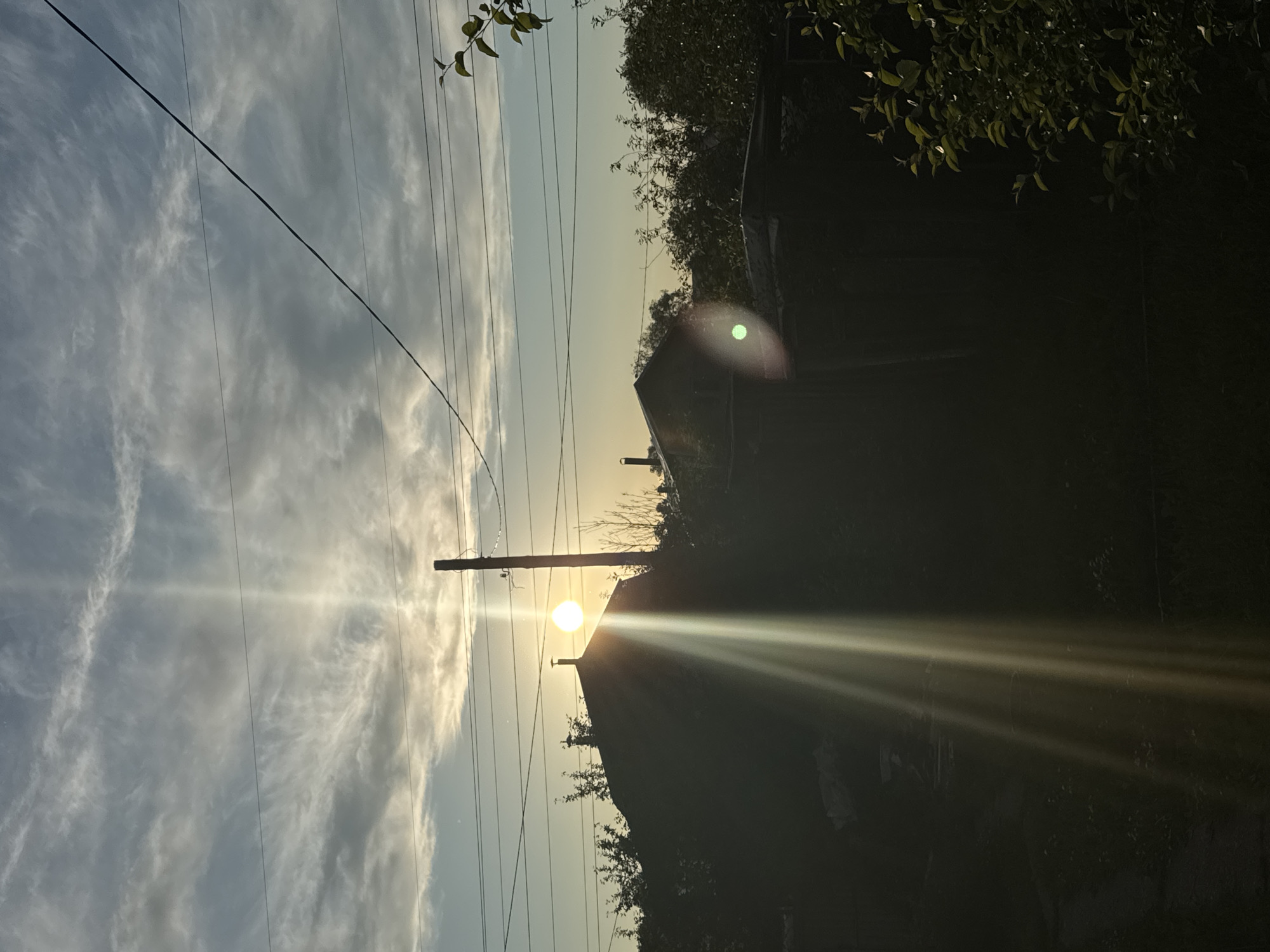 This is a landscape photograph captured during either sunrise or sunset, presenting a dramatic silhouette scene. The sun, a bright, circular orb, is positioned towards the center-right of the frame, casting intense golden rays that stretch diagonally across the lower right portion of the image. The strong backlighting from the sun creates pronounced lens flares, including a prominent green one in the upper-right quadrant.
The sky occupies the upper two-thirds of the image, displaying a gradient from light blue at the top to a warm, soft yellow-orange closer to the horizon where the sun is setting/rising. Wispy, scattered clouds are visible, particularly on the left side, catching the light from the sun. Several dark power lines traverse the sky horizontally, with a tall utility pole standing silhouetted to the left of the sun, interrupting the lines.
Below the horizon, a house or building is rendered in deep silhouette, its roofline visible against the bright sky. The surrounding area, including trees and dense foliage, is also heavily silhouetted, appearing as dark, undefined shapes. Some branches and leaves are visible in the upper corners, providing a sense of depth and framing. The overall setting appears to be rural or semi-rural, consistent with the location context of Chaikovsky, Russia, conveying a sense of tranquility and the beauty of natural light. No text is visible in the image.
