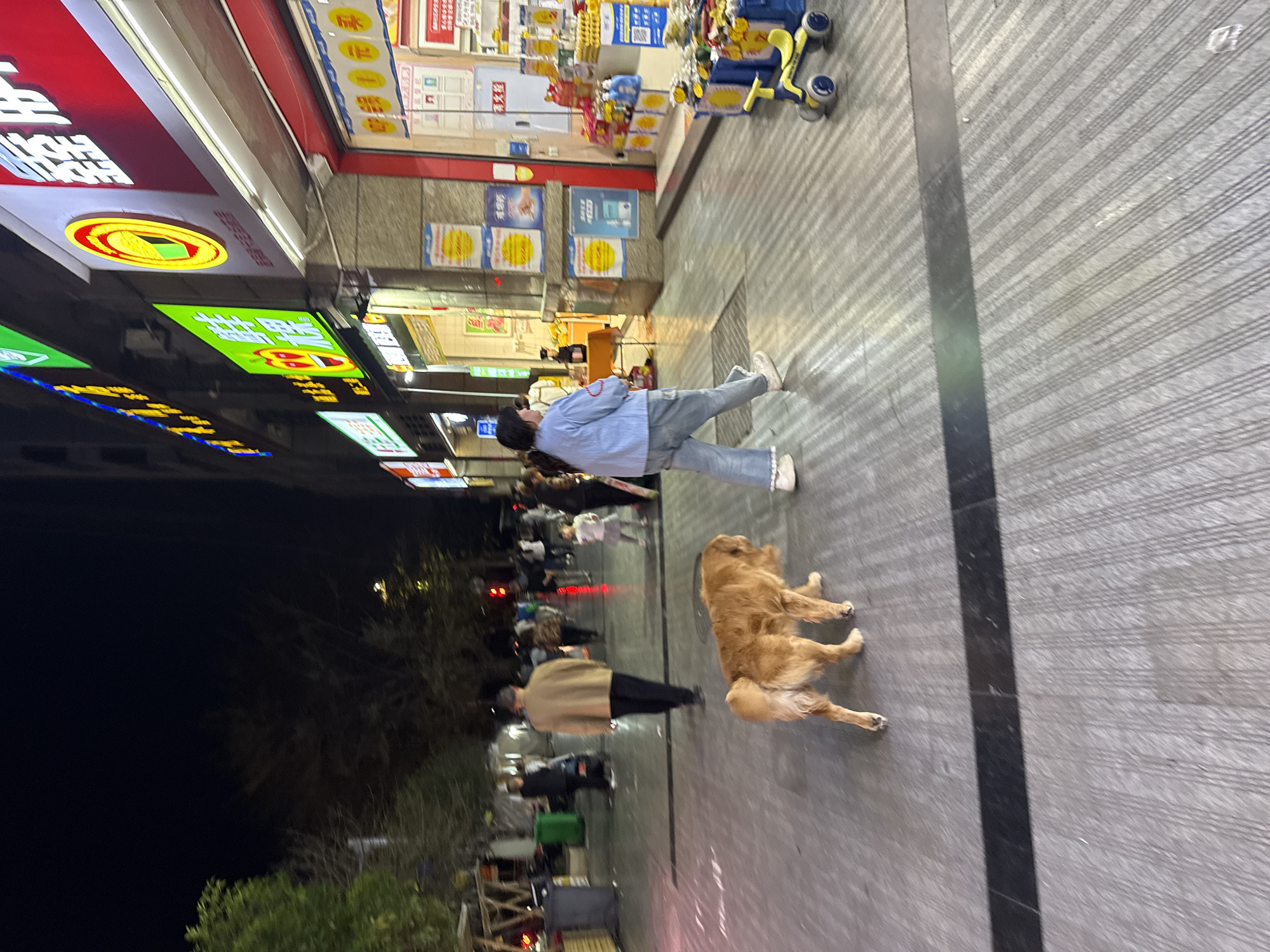 The image shows an outdoor scene in Shapingba District, China. A person wearing a light blue shirt and jeans is walking on a paved sidewalk. A golden retriever dog is lying on the sidewalk near the person. Other people are walking in the background. Streetlights and storefronts are visible. The sky is dark, suggesting it is night.