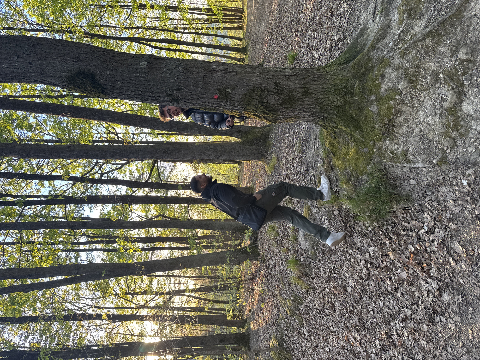 A photograph taken in Bures-sur-Yvette, France, depicts two men interacting in a forest setting during what appears to be late afternoon or early evening, indicated by the warm, golden sunlight filtering through the trees.
The primary subject, positioned on the right side of the frame, is a man with dark skin, wearing a dark jacket, dark cargo pants, and white sneakers. He also carries a dark shoulder bag across his body. He is captured in mid-stride or standing, looking upwards and slightly to his left.
Further back and partially obscured by a large tree trunk on the left, a second man with lighter skin is visible. He wears glasses and a dark puffer jacket, peeking playfully from behind the tree. He is smiling, suggesting a lighthearted interaction with the first man or the camera.
The scene is dominated by numerous trees with textured bark, some covered in moss at their bases. The ground is largely covered with dry, fallen leaves, with patches of green grass interspersed. New, vibrant green leaves are budding on the trees, indicating springtime. The background shows more trees and the sun shining brightly through the foliage. The overall atmosphere appears natural and serene, with a hint of playful engagement between the two individuals. There is no visible text in the image.