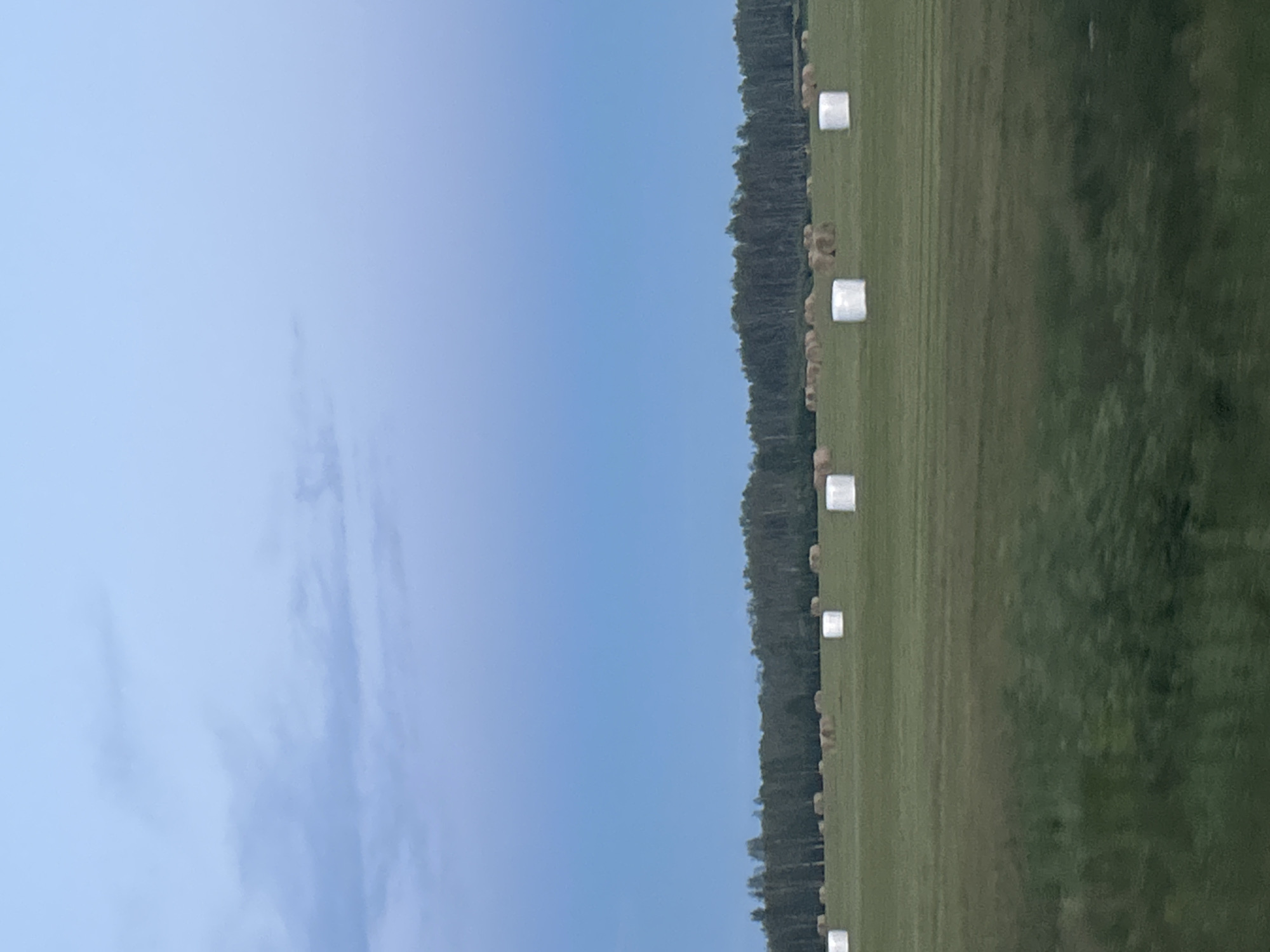 This image depicts a rural scene in Ziminо, Russia, likely in the late afternoon or early evening. The sky is a clear, bright blue with a few wispy clouds on the left side. The main focus is a large, green field stretching from the bottom to the top of the image.
The field is lined with trees along its right edge, forming a dense, dark green border. Scattered throughout the field, arranged in a line parallel to the treeline, are several hay bales. Some of these bales are wrapped in white plastic, appearing as bright, rectangular shapes against the green grass, while others are visible as their natural, golden-brown color. These bales suggest recent agricultural activity, likely harvesting and baling of hay.
The overall impression is one of peacefulness and the natural beauty of the Russian countryside. The lighting suggests it's a pleasant, perhaps slightly warm day. There is no visible text in the image.