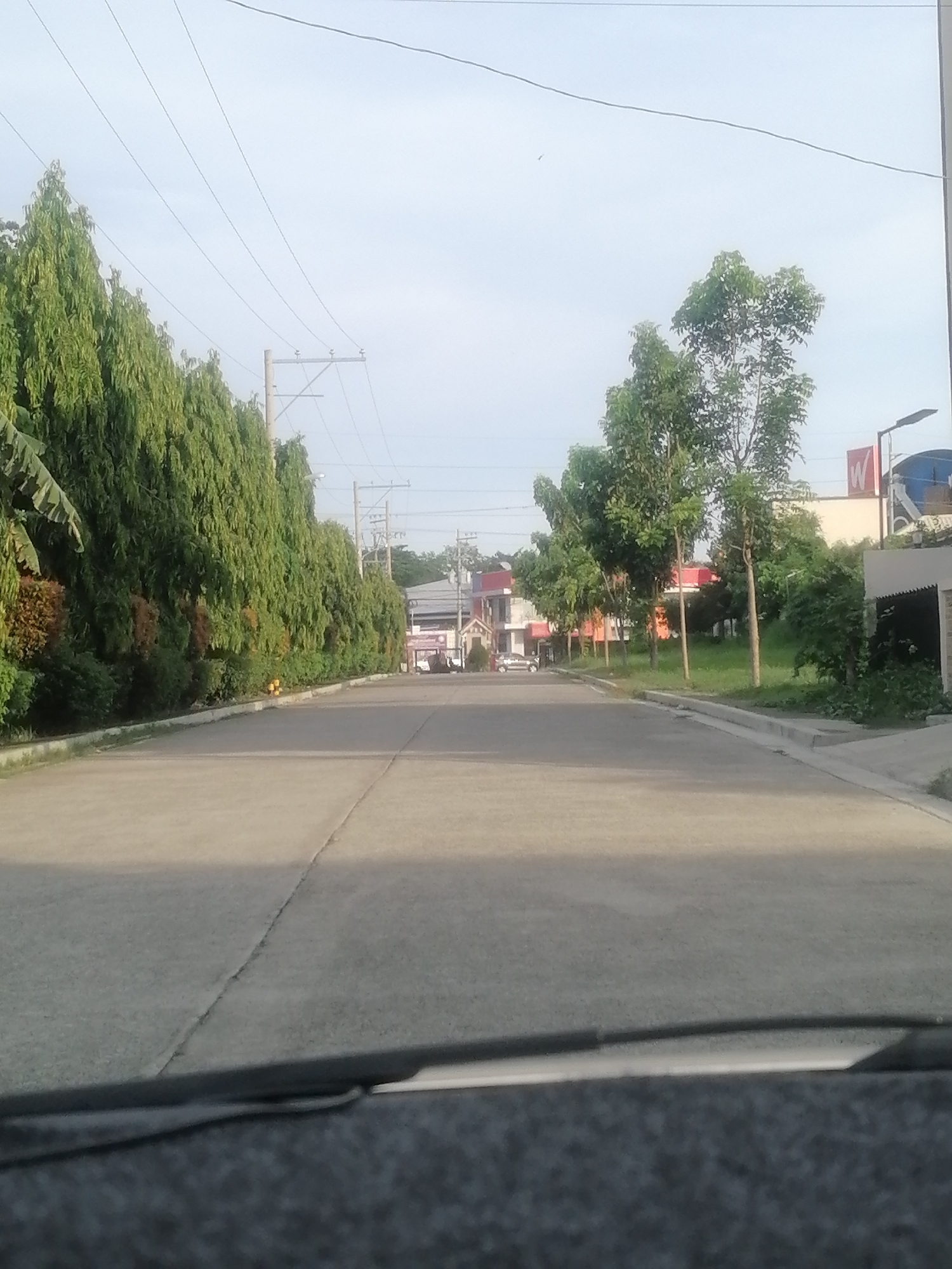 An eye-level shot captures a straight, concrete road extending into the distance, flanked by lush greenery and buildings under a bright, overcast sky. The perspective is from inside a vehicle, with a dark dashboard or car interior visible in the immediate foreground, reflected slightly on the windshield.
On the left side of the road, a dense line of tall, slender trees, likely Ashoka trees (*Polyalthia longifolia*), forms a vibrant green wall. Behind them, utility poles with power lines stretch across the frame. On the right, the roadside features shorter, bushier trees and open grassy areas, with several buildings visible further back. One building has a distinct red roof and another features a prominent red sign with a large white "W". A white sedan is parked near the buildings in the distance on the left.
The setting appears to be a well-maintained residential or commercial street, possibly an access road. The lighting is soft and even, suggesting either early morning or late afternoon, with no harsh shadows indicating midday sun. The sky is largely clear of clouds, conveying calm weather. No people are visible. The visible text is the white "W" on the red sign. The overall scene suggests an ordinary, quiet urban or suburban street in Davao City, Philippines.