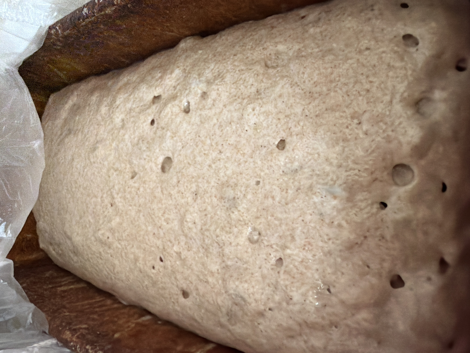 A close-up image shows a large, rectangular mass of bread dough resting within a dark, reddish-brown wooden container or basket. The dough occupies the majority of the frame, lying lengthwise. Its surface is a pale, beige-brown color, with a slightly textured, granular appearance, suggesting the presence of whole grain flour.
Numerous small, irregular air bubbles or pockmarks are visible across the surface of the dough, particularly on the top and right side. Some of these indentations appear dark and deep, while others are shallower and show a glossy, wet sheen inside, indicating active fermentation. The dough has a soft, slightly undulating form.
To the left, a translucent, crumpled white material, likely a plastic bag or cling film, partially covers the dough and the edge of the container, presumably to prevent the dough from drying out during proofing. The wooden container has a distinct grain pattern and a rich, warm brown hue. The lighting is soft and even, illuminating the dough's texture and the small surface details. No specific location cues, time of day, or visible text are present. The scene captures the dough in a state of rest or rising.