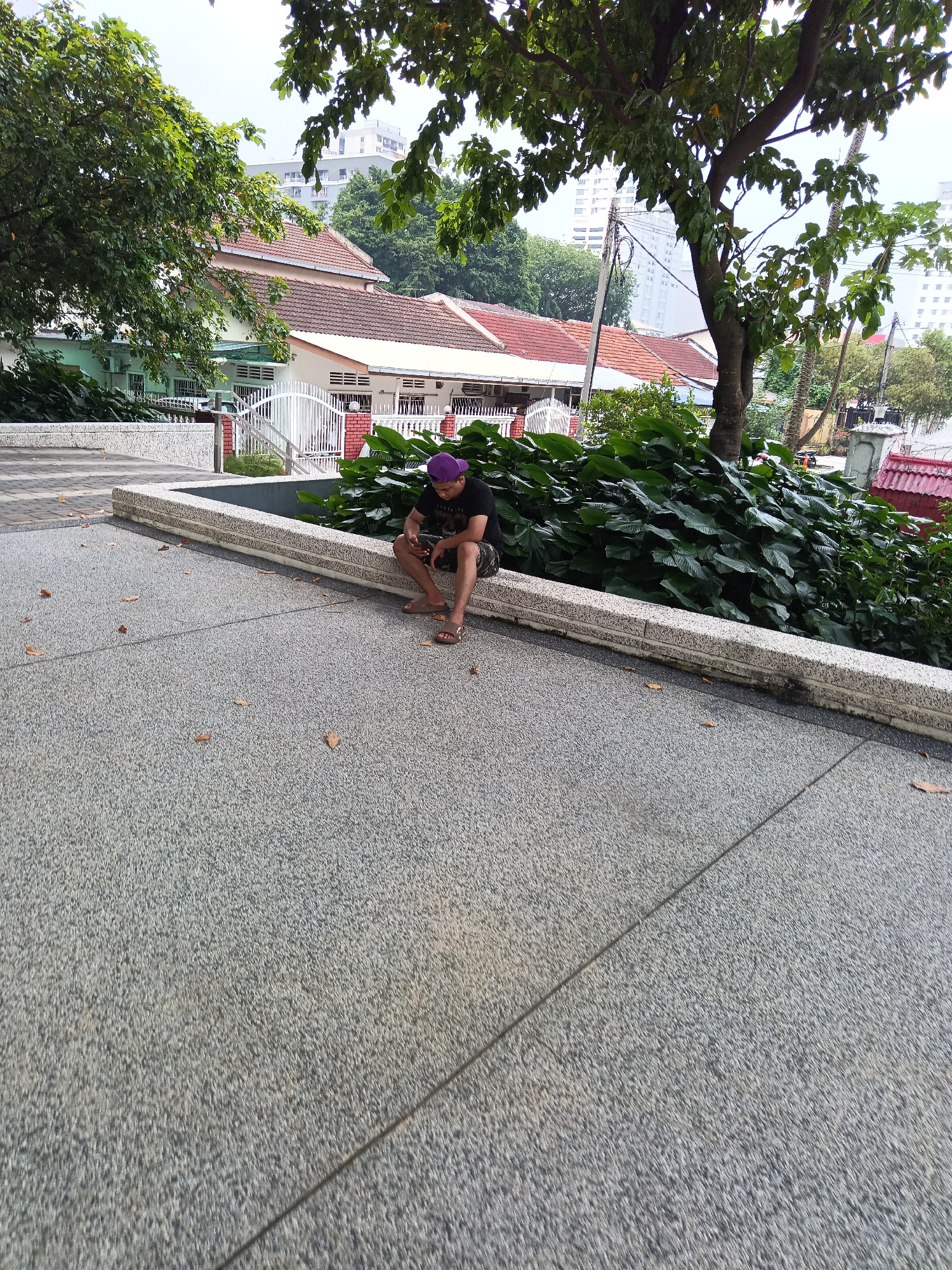 In Kuala Lumpur, Malaysia, a person is seated on a stone ledge, looking down at their phone. They are wearing a black t-shirt, camouflage shorts, and a purple cap. The person is positioned in front of a dense green bush and a tree. Behind the bush, a row of houses with red tile roofs and white gates is visible. In the background, tall white buildings rise against an overcast sky. The ground in the foreground is paved with speckled grey concrete, and scattered brown leaves are visible on its surface.