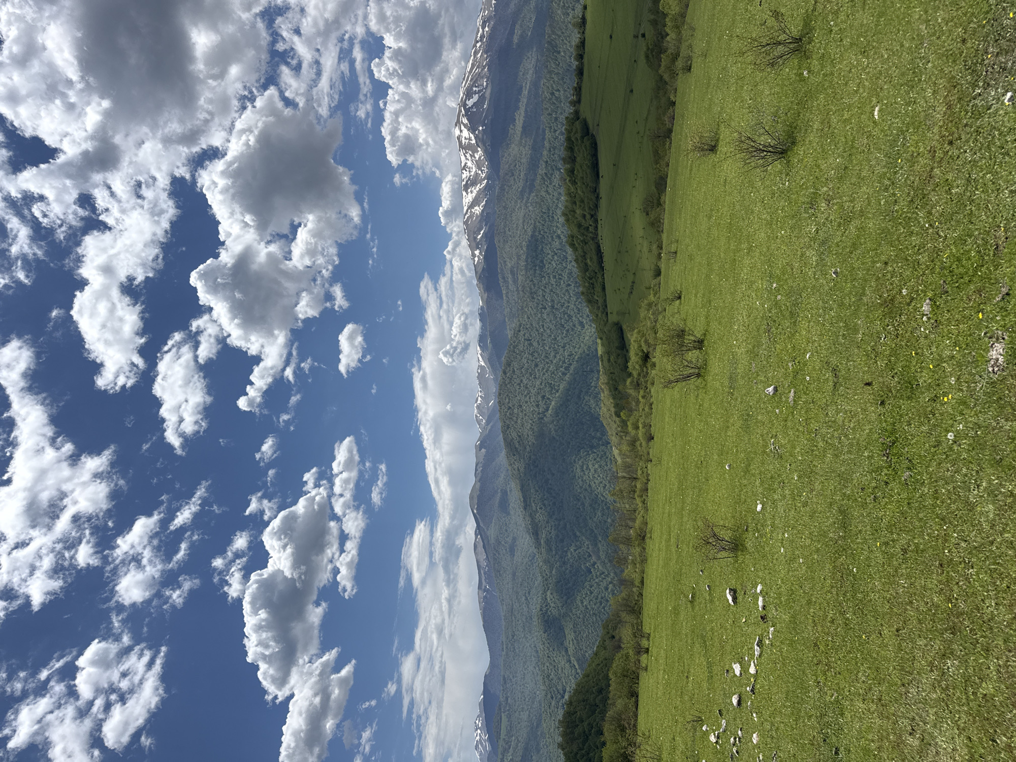 The image depicts a landscape in Haghartsin, Armenia. On the left, a vibrant blue sky is filled with fluffy white cumulus clouds. A mountain range stretches across the center, with snow-capped peaks in the distance. The slopes of the mountains are covered in lush green forests. To the right, a green meadow extends, dotted with scattered trees and some white rocks.