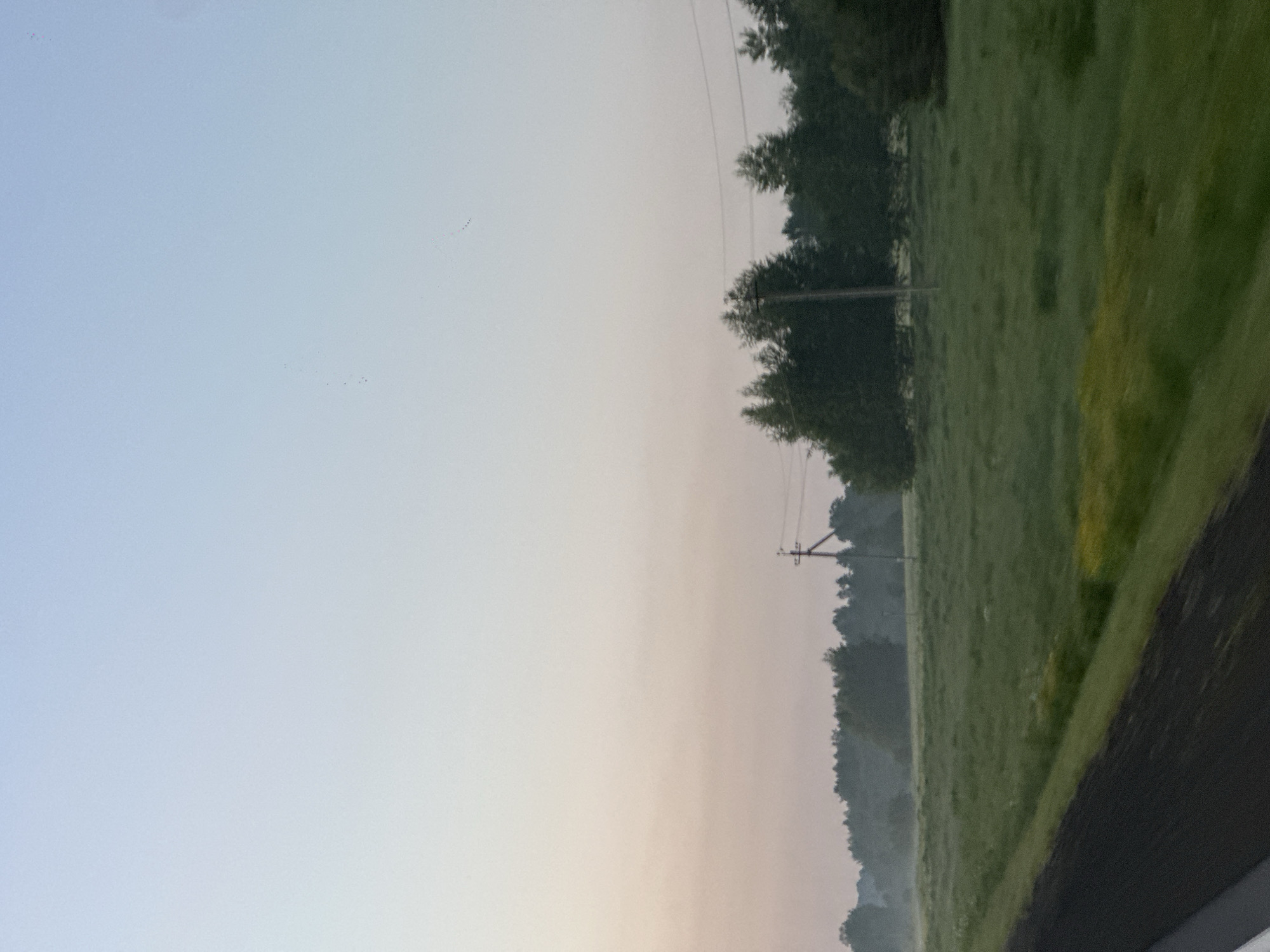 The image captures a serene, rural landscape at dawn or dusk. The sky transitions from a pale blue at the top to a soft pinkish hue near the horizon, indicating either the early morning or late evening. A band of light, possibly fog or mist, hovers low over a lush green field that stretches into the distance.
Dominating the middle ground is a dense line of dark green trees, forming a natural barrier. A solitary utility pole with wires is visible amidst the trees, suggesting the presence of infrastructure in this remote area. The foreground is occupied by the edge of a dark asphalt road, partially visible on the left, with a green embankment alongside it. The overall impression is one of tranquility and open space. The location in Krapivinskiy, Russia, suggests a typical scene of the Siberian countryside during a transitional period of the day. There are no people or animals visible in the frame.