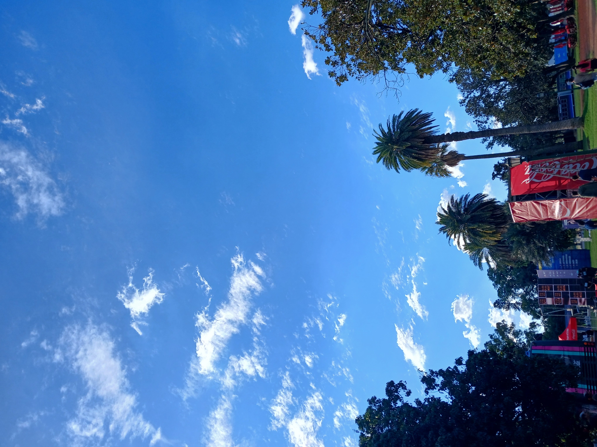 The image depicts a bright blue sky with scattered cirrus clouds above the city of Buenos Aires, Argentina. Palm trees and deciduous trees are visible. Coca-Cola banners are displayed. Other people are present.