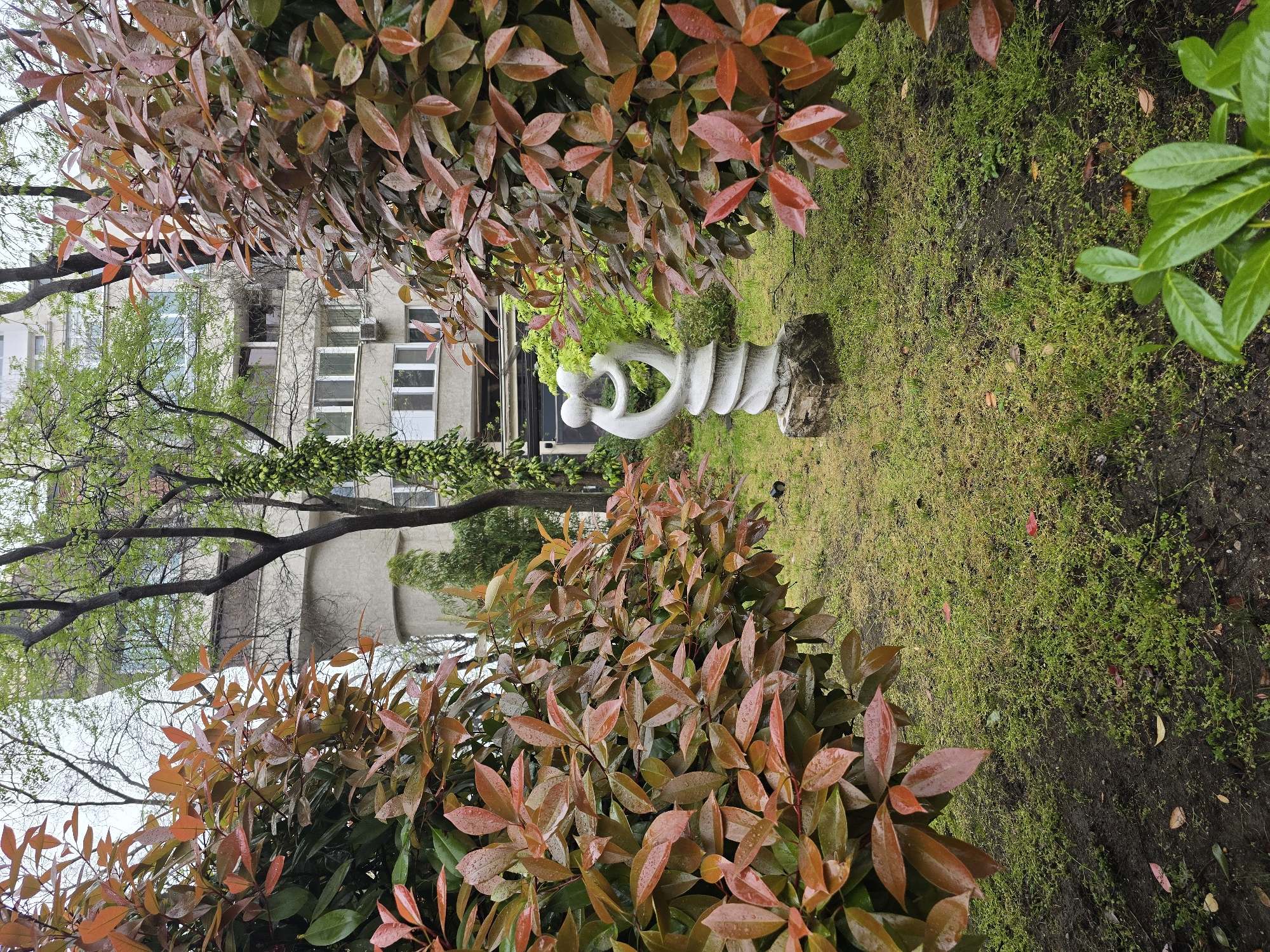 The image shows a narrow view of a garden between two rows of bushes. In the center of the garden is a modern white sculpture, and beyond it is a building with windows and air conditioning units. The ground is covered in grass and moss. The scene appears to be in an urban area, possibly a park or garden associated with the building. No people are visible.