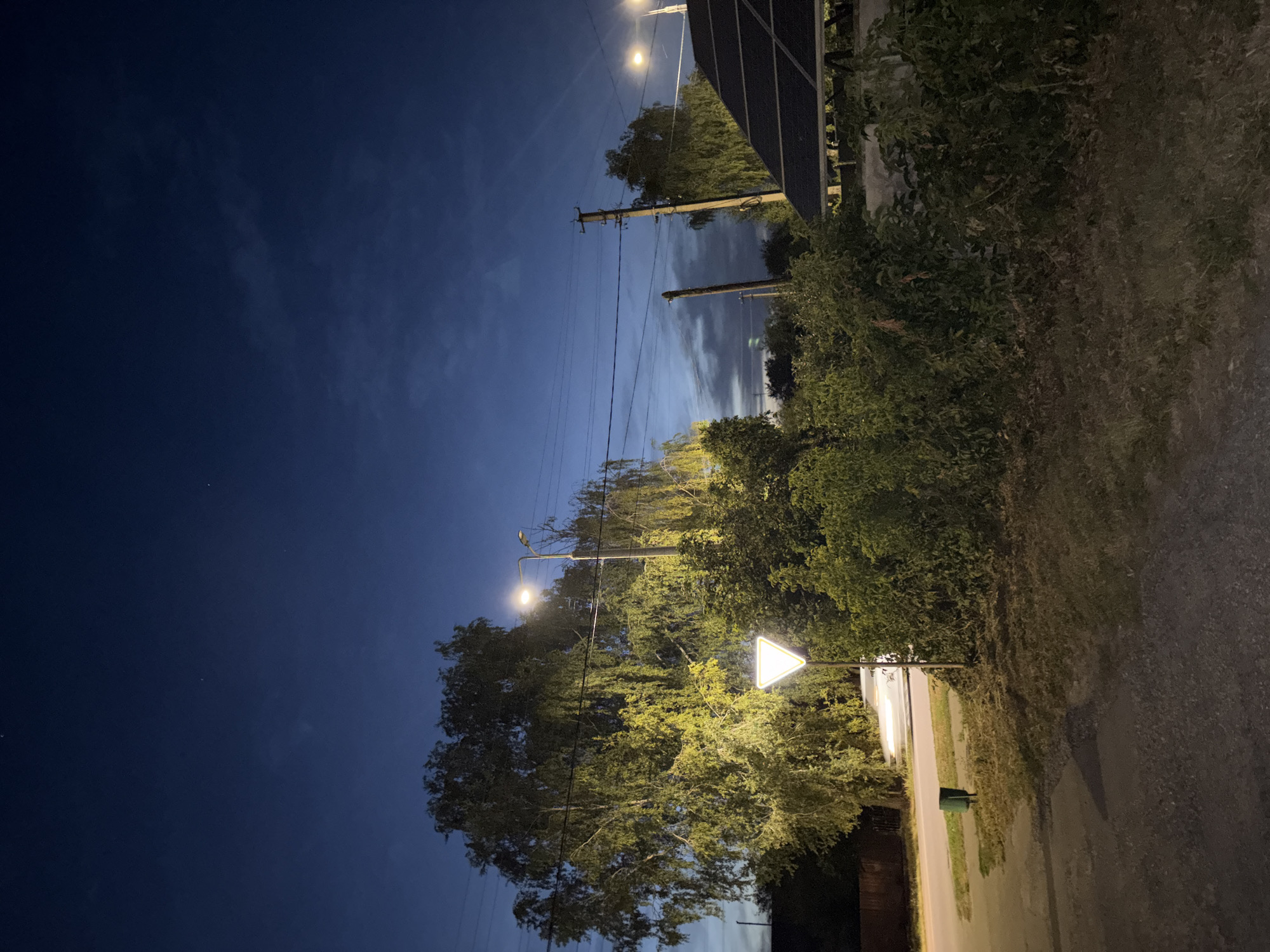 The image depicts a street scene at dusk in Lanivtsi, Ukraine. A large tree with sparse, light-colored leaves dominates the left side of the frame, illuminated by a streetlamp positioned to its right. A triangular yield sign is prominently displayed on a pole in front of the tree, also illuminated. Further to the right, a solar panel array is visible on a rooftop, partially obscured by dense foliage. Power lines are strung across the scene, supported by utility poles. The sky is a deep blue, with a few wispy clouds and faint stars visible. A paved road runs along the bottom left of the image, with a green trash can situated on the grassy verge. The overall impression is of a quiet, residential area at the transition from day to night.