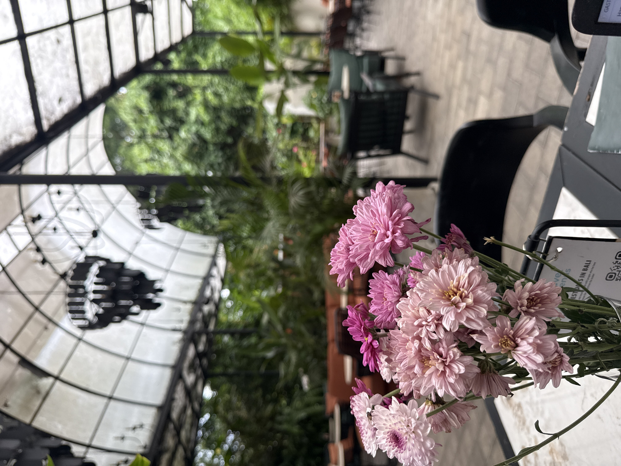 The image, appearing as a portrait (or rotated 90 degrees counter-clockwise from its original capture), prominently features a bouquet of light pink and purple chrysanthemum-like flowers in the right foreground. These delicate blossoms, with visible yellow centers, are arranged on a dark table, likely within a vase or holder that is partially obscured.
The background depicts an outdoor or semi-outdoor dining area, possibly a cafe or restaurant patio. The ground is paved with light-colored bricks or tiles. Several empty black tables and chairs are visible, extending into the mid-ground, suggesting a quiet moment. Behind the seating area, lush green foliage and trees create a soft, blurred backdrop, indicating a natural, garden-like environment. A distinctive architectural structure, resembling a greenhouse or gazebo with a grid-patterned roof of glass or translucent material, occupies the upper left portion of the image.
The scene is illuminated by bright natural light, suggesting it is daytime. The absence of people contributes to a serene and peaceful atmosphere. On a stand situated on the table, partially legible text includes "GAST...", "HAPP...", "VISIT US IN BALI", along with a QR code. This tranquil outdoor setting, characterized by its greenery and inviting ambiance, is located in the Ubud District, Indonesia.