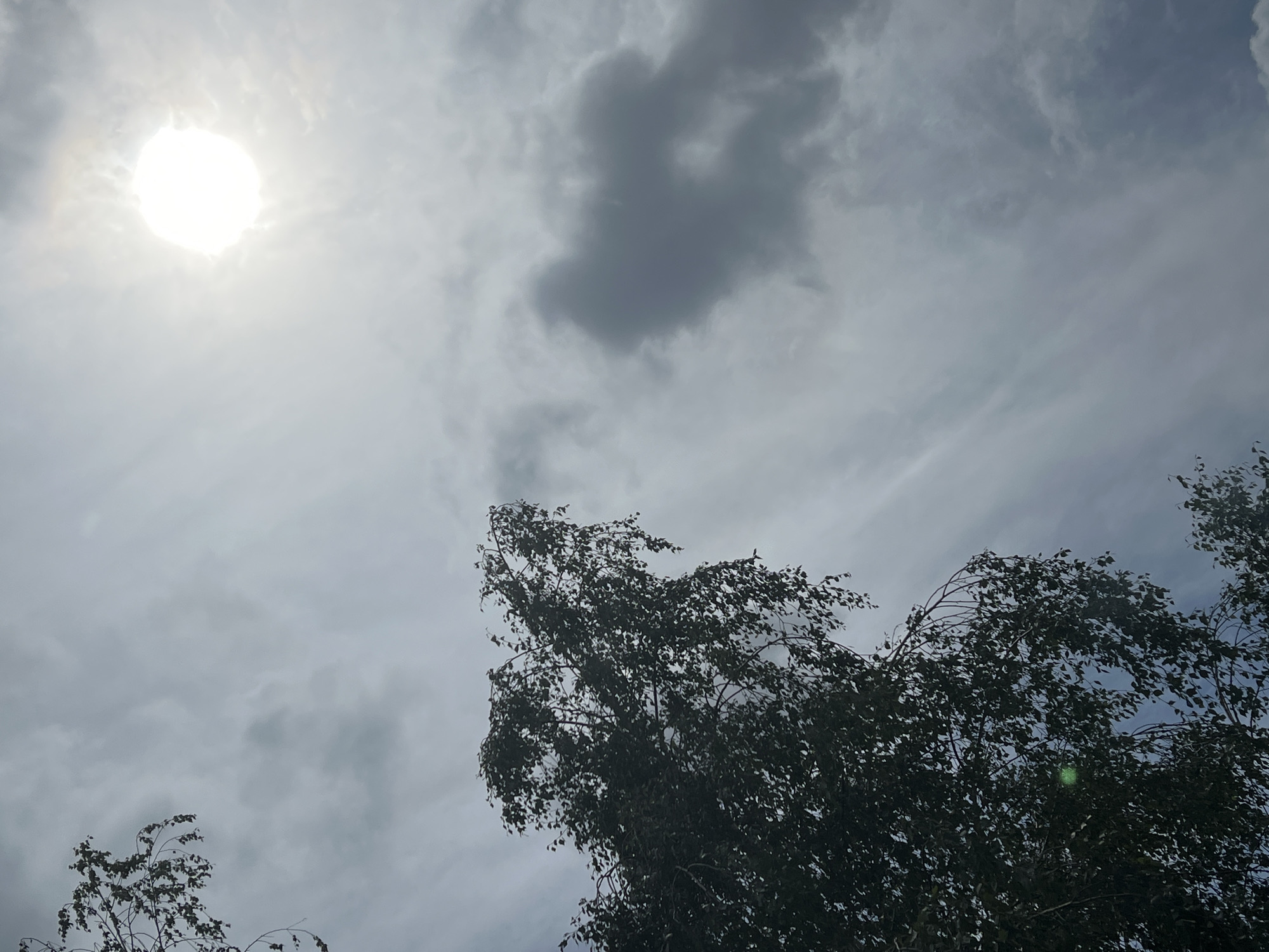The image captures an overcast sky with the sun partially obscured by clouds. The sun appears as a bright, circular glow in the upper right quadrant of the frame. Dark, silhouetted tree branches and foliage dominate the left side and extend towards the center of the image. Streaks of lighter clouds are visible against the darker sky, creating a sense of movement and depth. There is a large, dark cloud formation in the middle right of the image. The overall lighting suggests a daytime scene, likely late afternoon or early morning due to the diffused sunlight. No specific landmarks or indications of Warsaw, Poland, are present in the image itself.