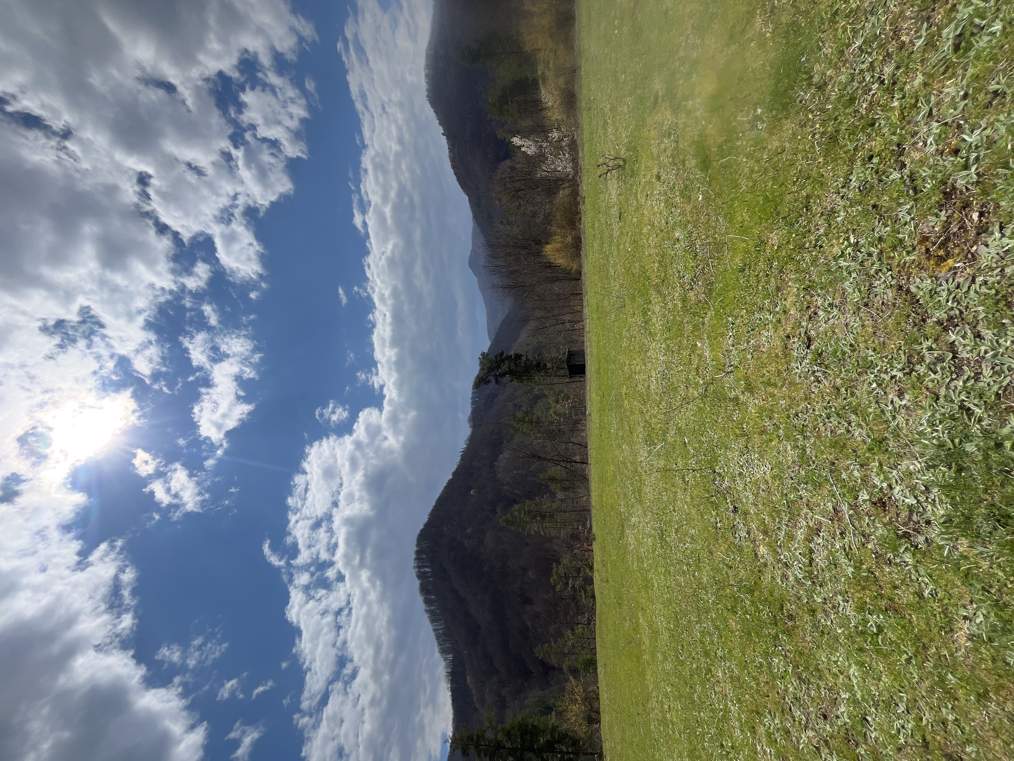The image presents a landscape, presumably in the vicinity of Srednogortsi, Bulgaria, given the request. It features a clear blue sky with scattered cumulus clouds and visible sunlight. Adjacent to the sky is a mountain range with dense vegetation, primarily trees, suggesting forested slopes. To the right of the mountains is a field of grass. The color and texture indicate natural growth. No people, subjects, objects, actions, or interactions are directly visible in this landscape view.