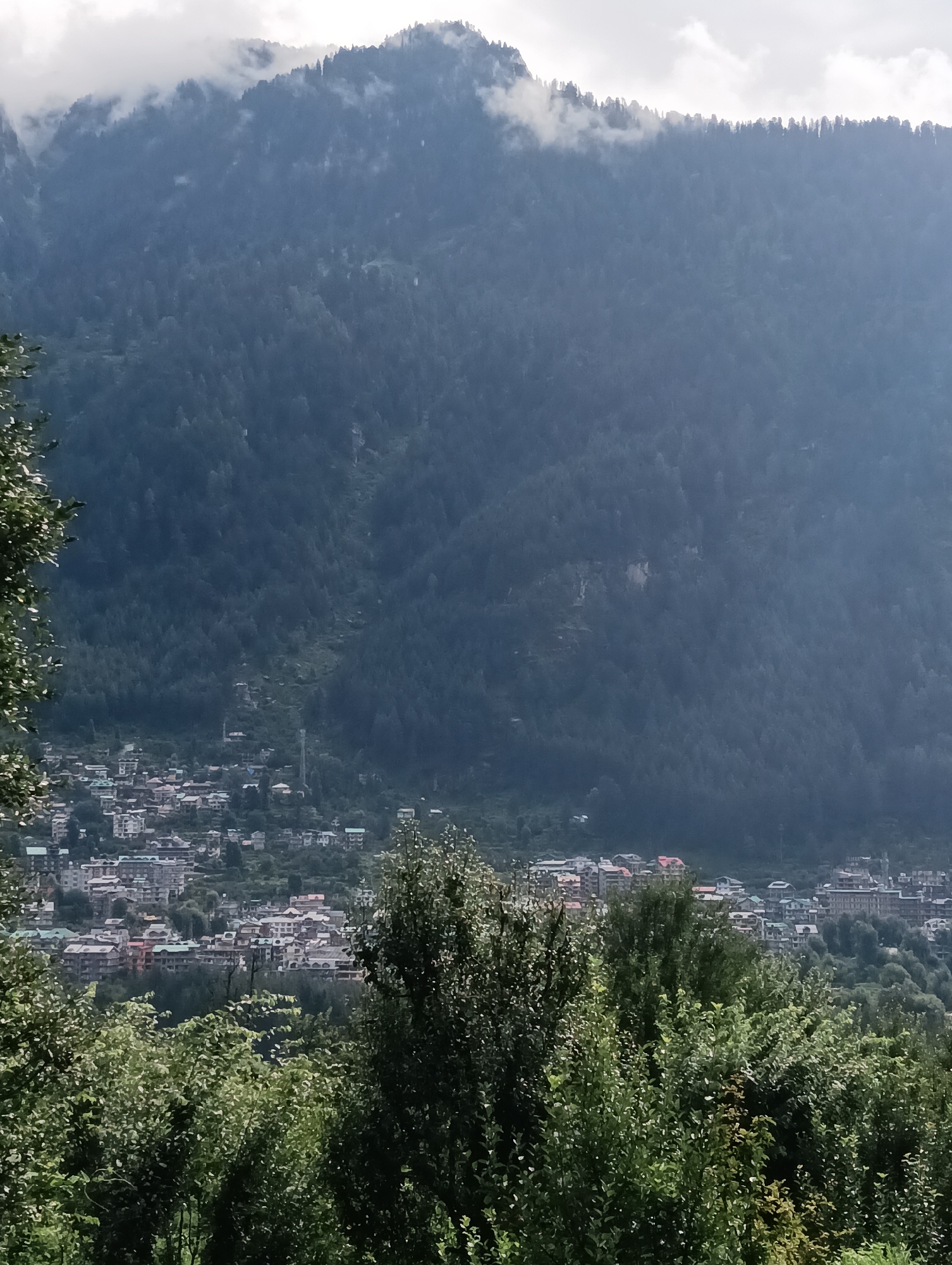 This is a vertical, eye-level, medium shot of a mountain village in Chhyal, India. The village is nestled at the base of a densely forested mountain. The mountain is covered in a thick canopy of trees, with some patches of mist clinging to its upper slopes. The village itself is a collection of buildings with red and green roofs, spread out along the mountainside. In the foreground, lush green foliage obscures the view of the lower part of the village, suggesting this photo was taken from a higher vantage point, possibly from within the trees themselves. The sky above is overcast with clouds.