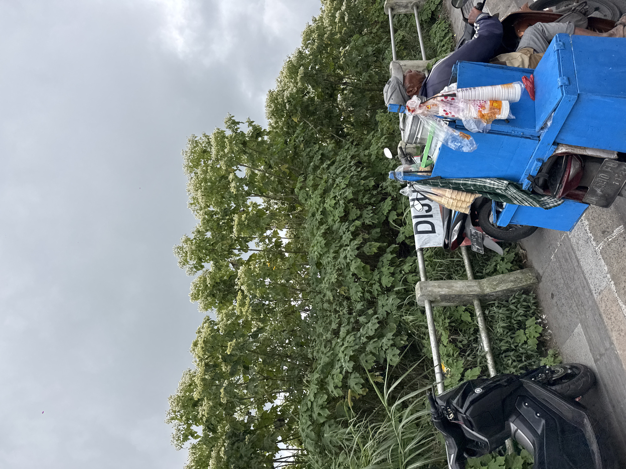 In Kintamani, Indonesia, a man is seated on a motorbike, facing right, wearing a grey cap and a blue jacket. He is wearing a light brown shirt and grey pants. The motorbike is equipped with a blue cooler box affixed to the rear, containing several plastic cups and a red plastic bag. A green and white checkered cloth is hanging from the side of the cooler. Behind the motorbike, a black scooter is partially visible. A metal railing runs along a paved walkway, bordered by lush green foliage and trees with white flowers. The sky is overcast, and the ground appears wet, suggesting recent rain. A black and white sign with the word "DISY" is attached to the motorbike.