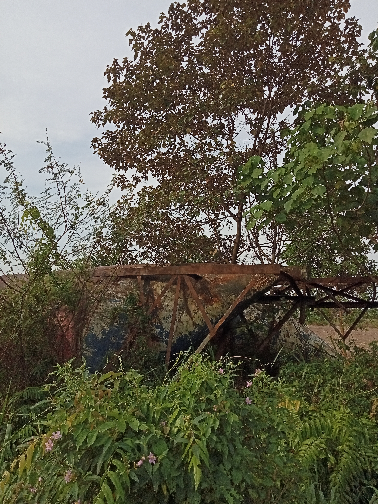 The image depicts an outdoor scene with a rusty metal structure partially obscured by overgrown vegetation. The structure appears to be part of an industrial or agricultural apparatus, possibly a water tank support or a conveyor system, given its weathered metal beams and supporting frame. Lush green plants and trees surround the structure, with some showing signs of wilting or browning, suggesting a natural, unmaintained environment. The sky above is overcast with a pale grey hue. There are no people visible in the frame. The location is identified as Teluk Kenidai, Indonesia.