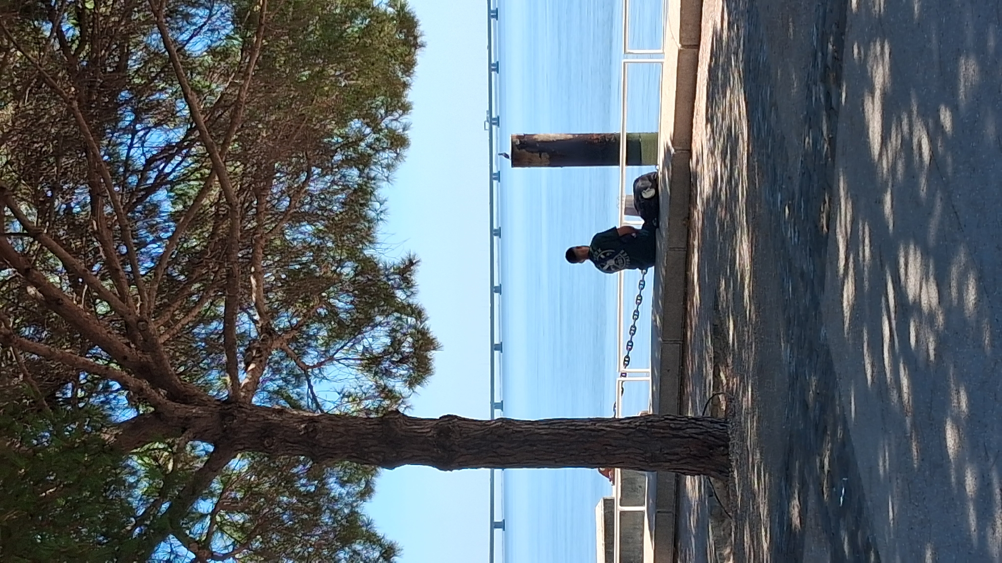 A person sits on a concrete ledge under the shade of a tree, facing a large body of water. The person is wearing a dark t-shirt with a graphic design on the back and has a bag next to them. In the background, a long bridge with multiple piers spans across the water, indicative of the Ponte 25 de Abril bridge in Lisbon, Portugal. The sky is clear and blue. To the right of the person, a cylindrical structure rises from the water, with a bird perched on top. The foreground consists of a paved area with dappled sunlight and shadows cast by the tree's foliage.