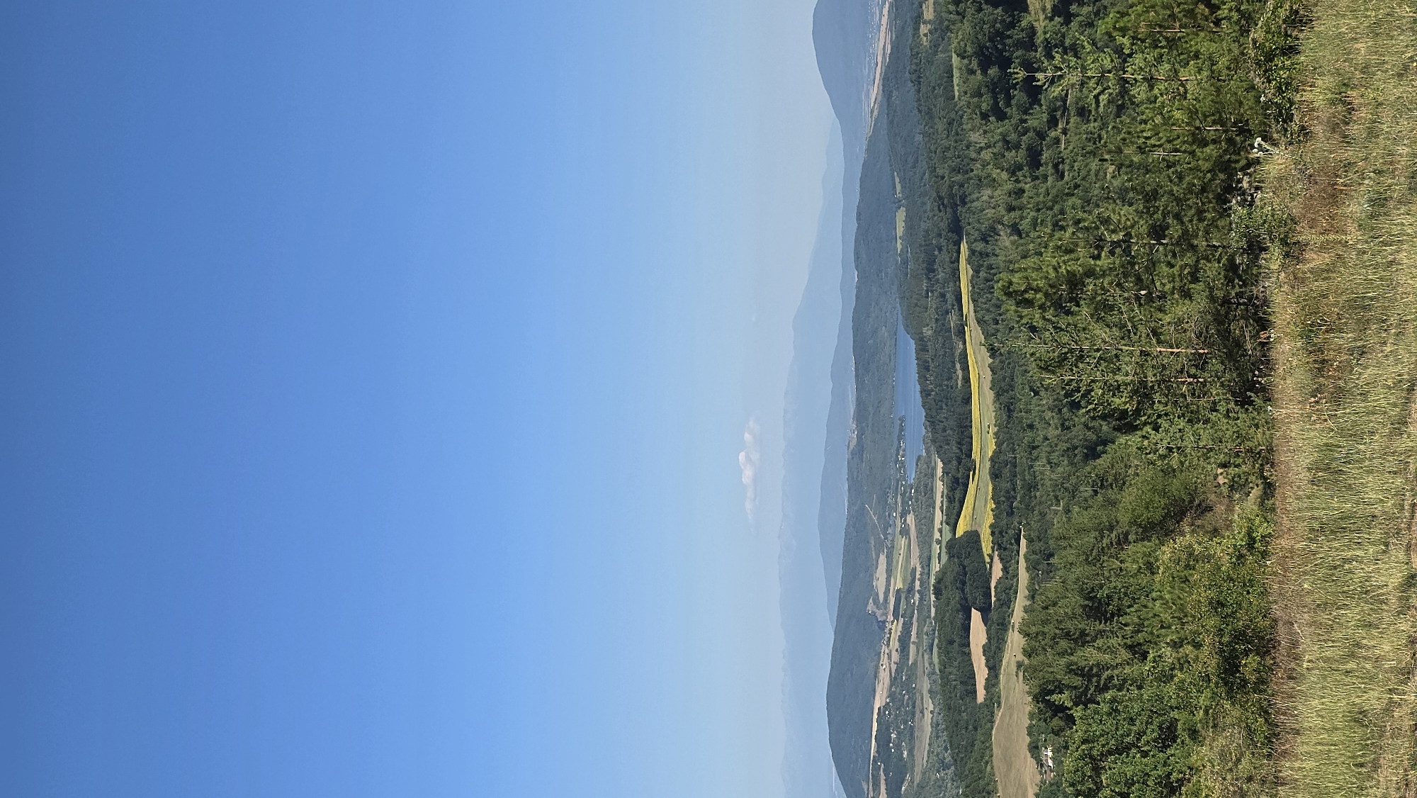 The image depicts a panoramic view of a rural landscape under a clear blue sky. In the foreground, dry grass and scattered vegetation are visible. The midground is dominated by a dense forest of pine and deciduous trees, with some taller pine trees standing out. Beyond the forest, the landscape opens up to rolling hills dotted with fields of yellow crops, some brown agricultural land, and a few scattered buildings. A calm lake or reservoir is situated in the valley, reflecting the clear sky. In the distance, layered mountain ranges fade into the horizon, with a faint cloud formation hovering over the furthest peaks. The scene is characteristic of the natural environment surrounding the village of Sirishtnik, Bulgaria, known for its picturesque hills, forests, and proximity to water bodies. There are no people or animals visible in the image.