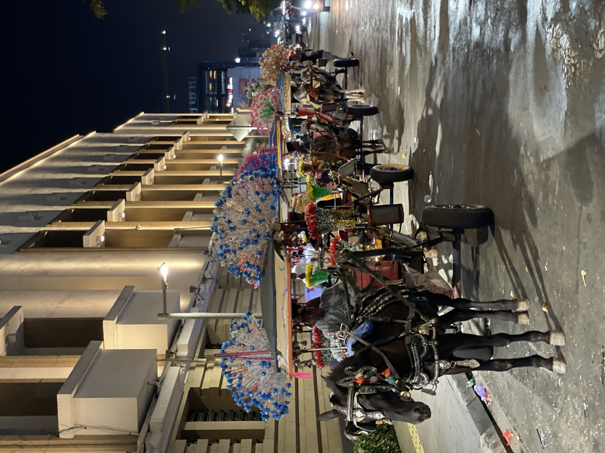 The image depicts a street scene at night in West Jakarta, Indonesia, featuring a line of horse-drawn carriages, also known as "delman" or "cidomo." The carriages are elaborately decorated with colorful floral arrangements and lights, suggesting a festive atmosphere. One black horse is prominently featured in the foreground, adorned with ornate tack. Several people are visible, including drivers seated on the carriages and passengers. The background shows a modern building with illuminated windows, a dark sky, and distant city lights, indicating an urban setting. The street is paved and appears slightly wet, with reflections of the lights visible. Trash is scattered on the side of the road. The scene conveys a sense of cultural heritage and tourism activity within the city.